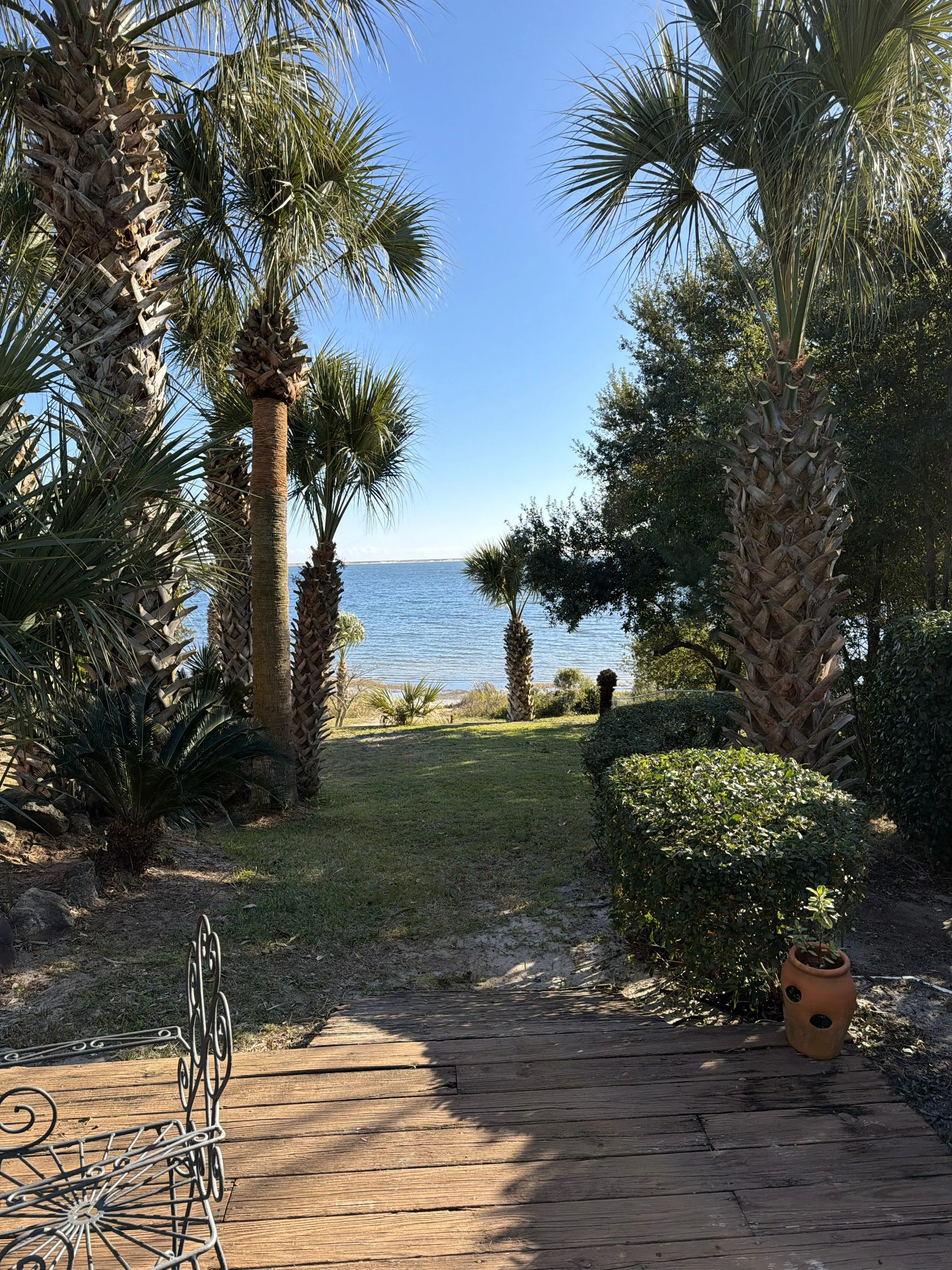 View of a backyard with palm trees, a wooden deck, a pot with a plant, and a body of water in the background under a clear blue sky.