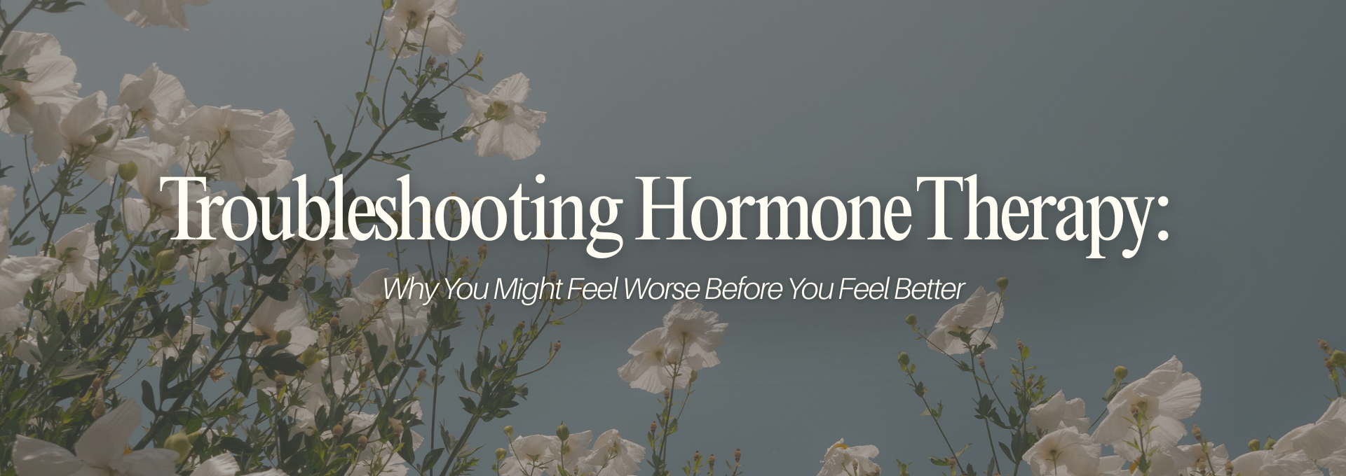 HORMONES & SEXUAL HEALTH.png