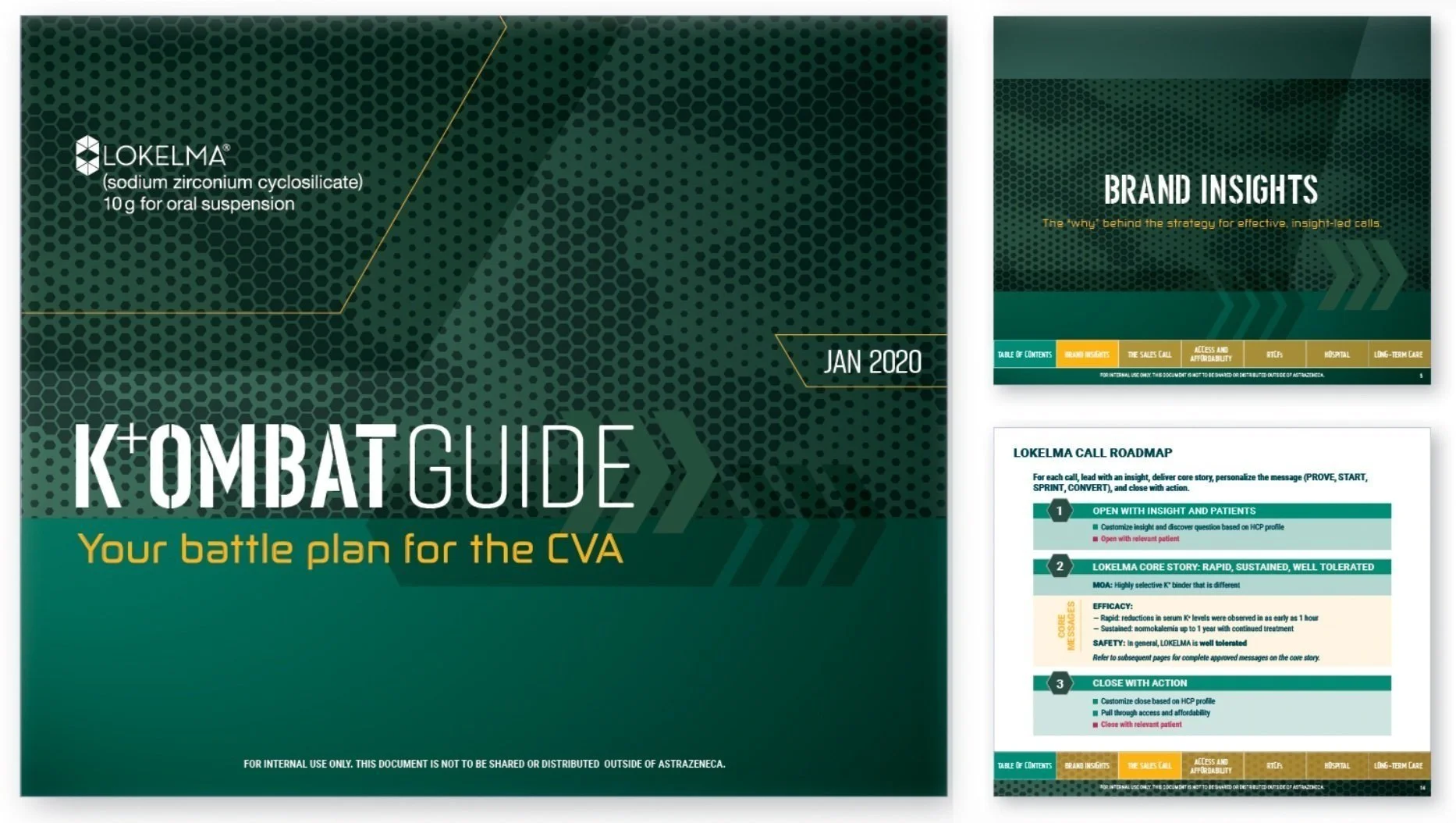 Interactive Visual Aid (IVA)