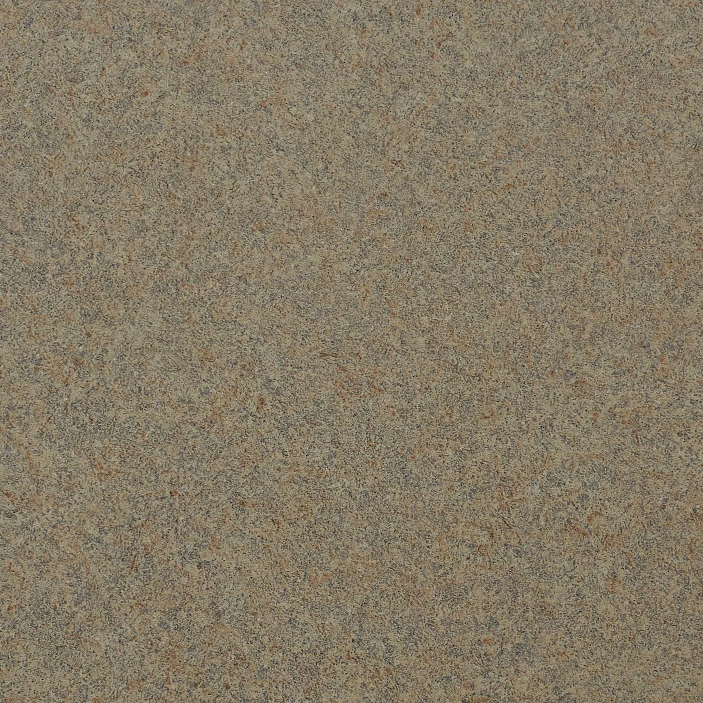169 Bronze Legazy HPL Swatch