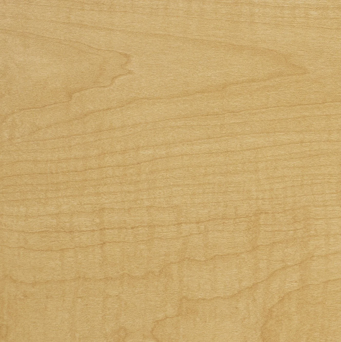 201 Fusion Maple HPL Swatch