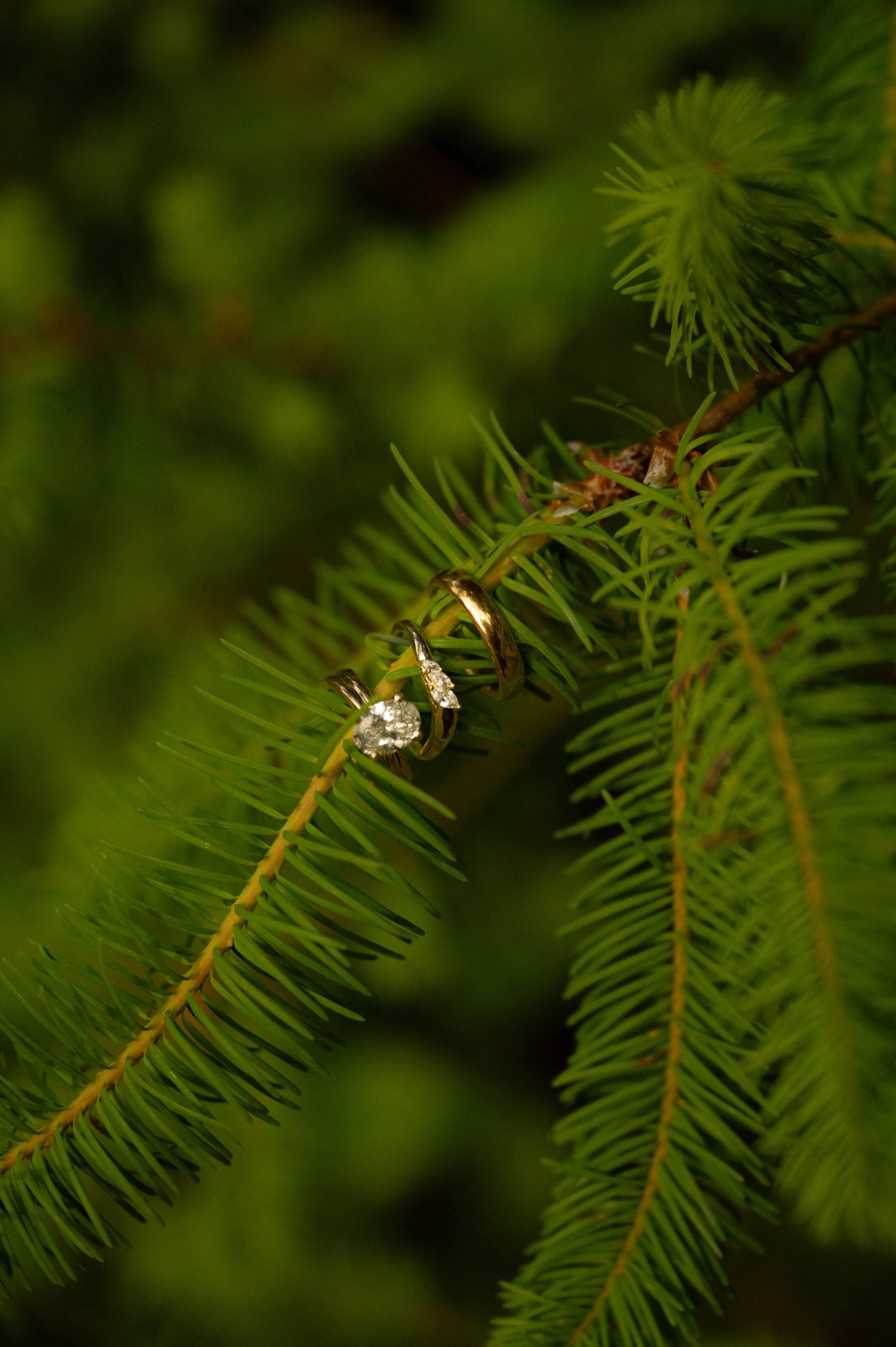 DSC_0554.jpg