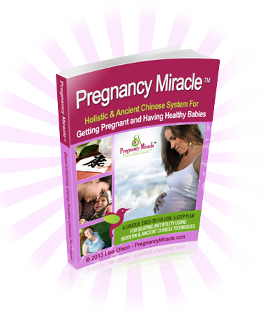 Holistic & Ancient Chinese System For Getting Pregnant and Having Healthy Children $47.00