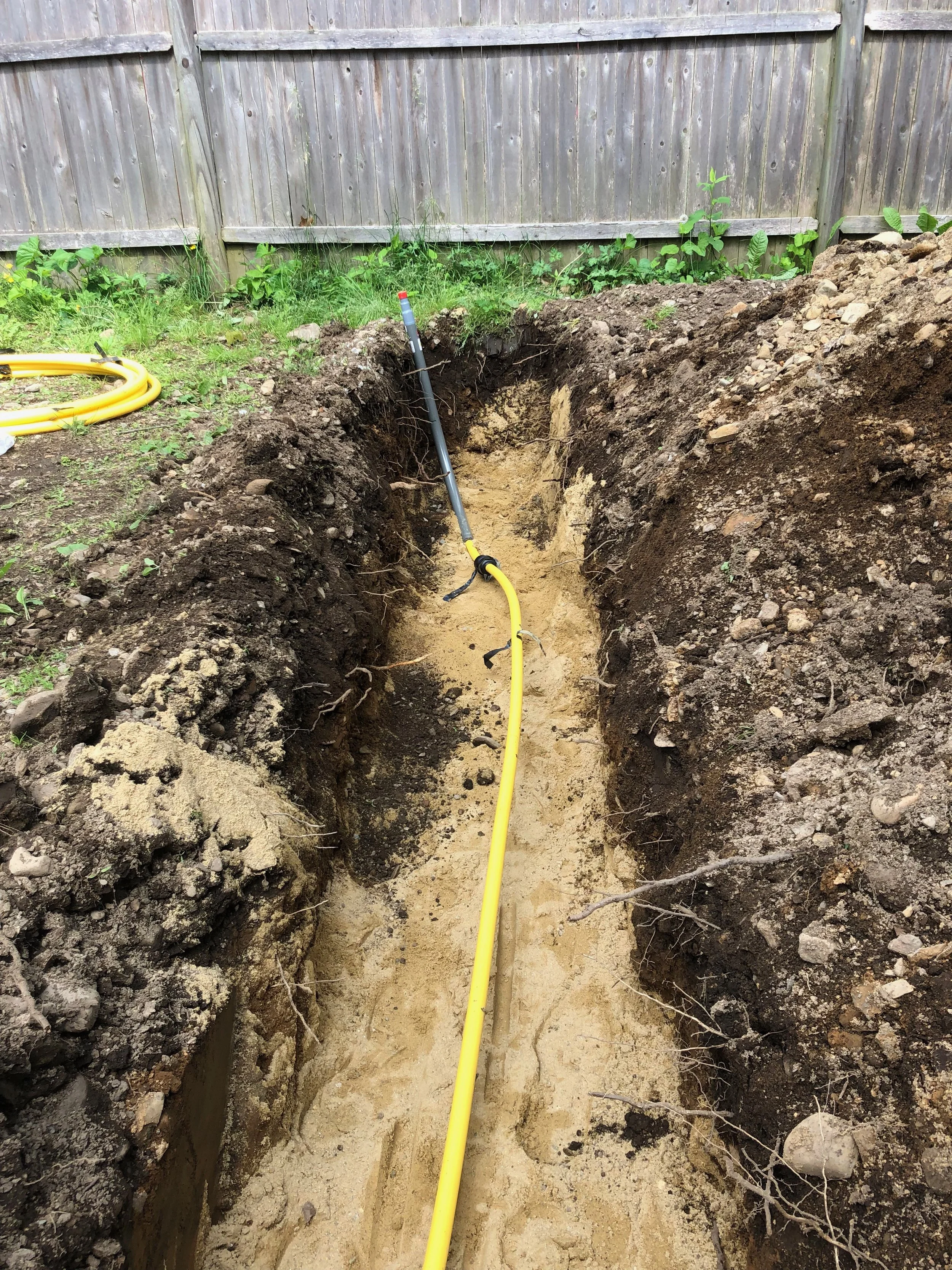 new web site - 70 Tom MIller.jpeg