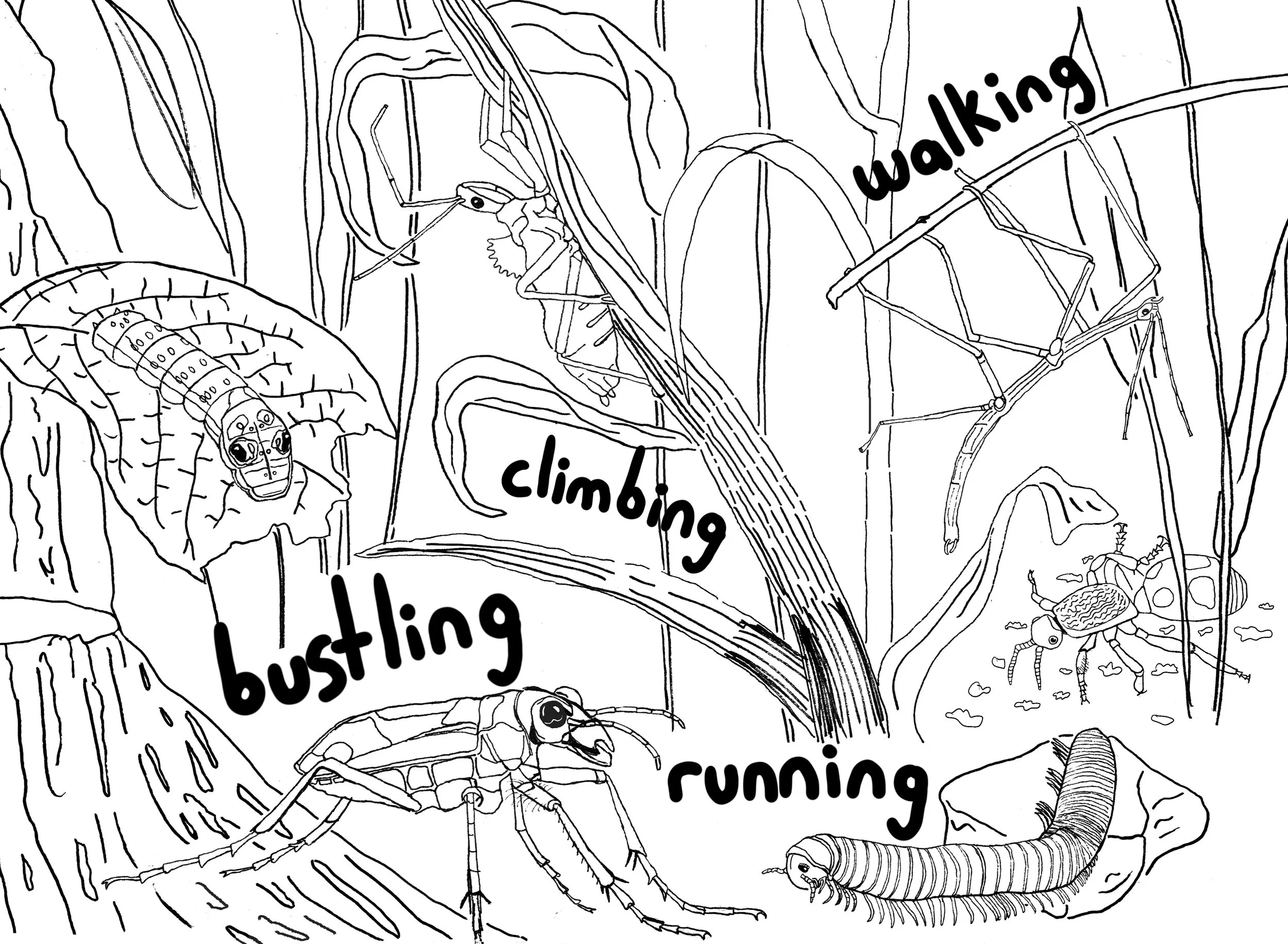 walkers.jpg