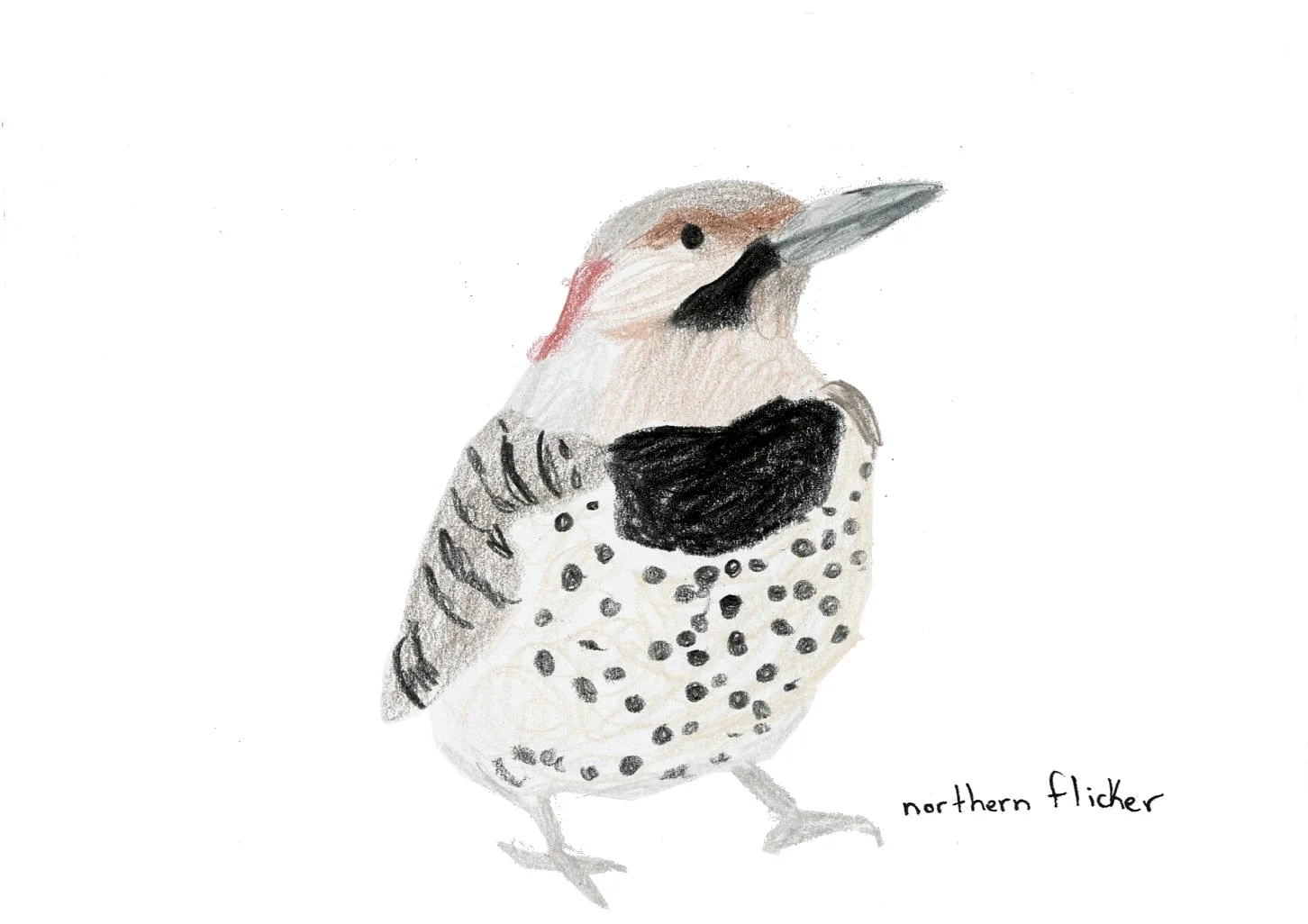 scan of colored pencil on paper