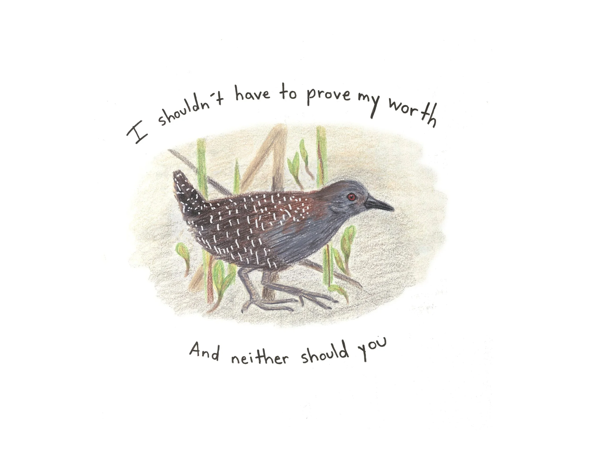 Proposed changes to the Endangered Species Act by the Trump administration would allow “economic considerations” in decisions of whether to protect species at risk of extinction. The public is encouraged to submit comments during the 30-day comment p