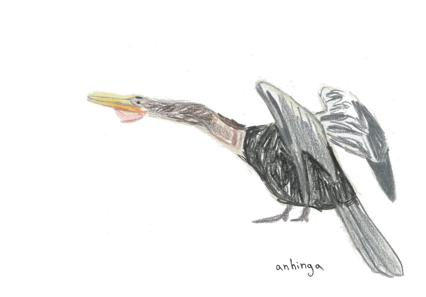 scan of colored pencil on paper