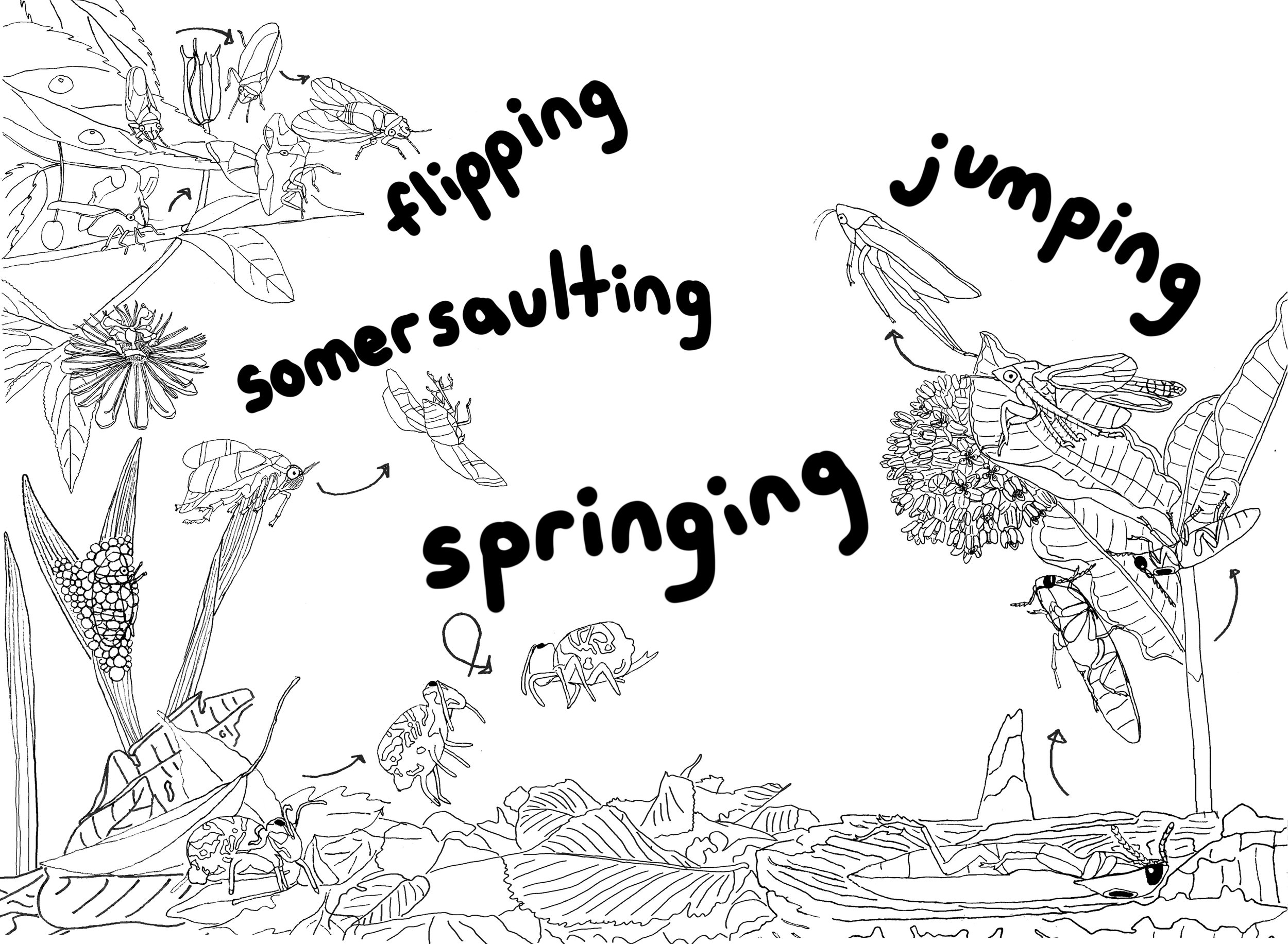 jumpers.jpg