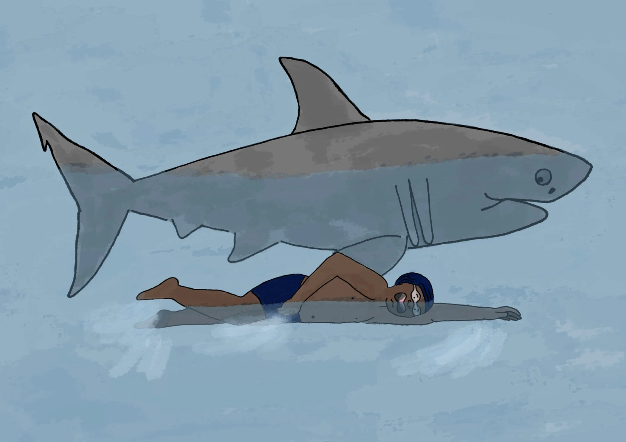 sharkswim4.jpg
