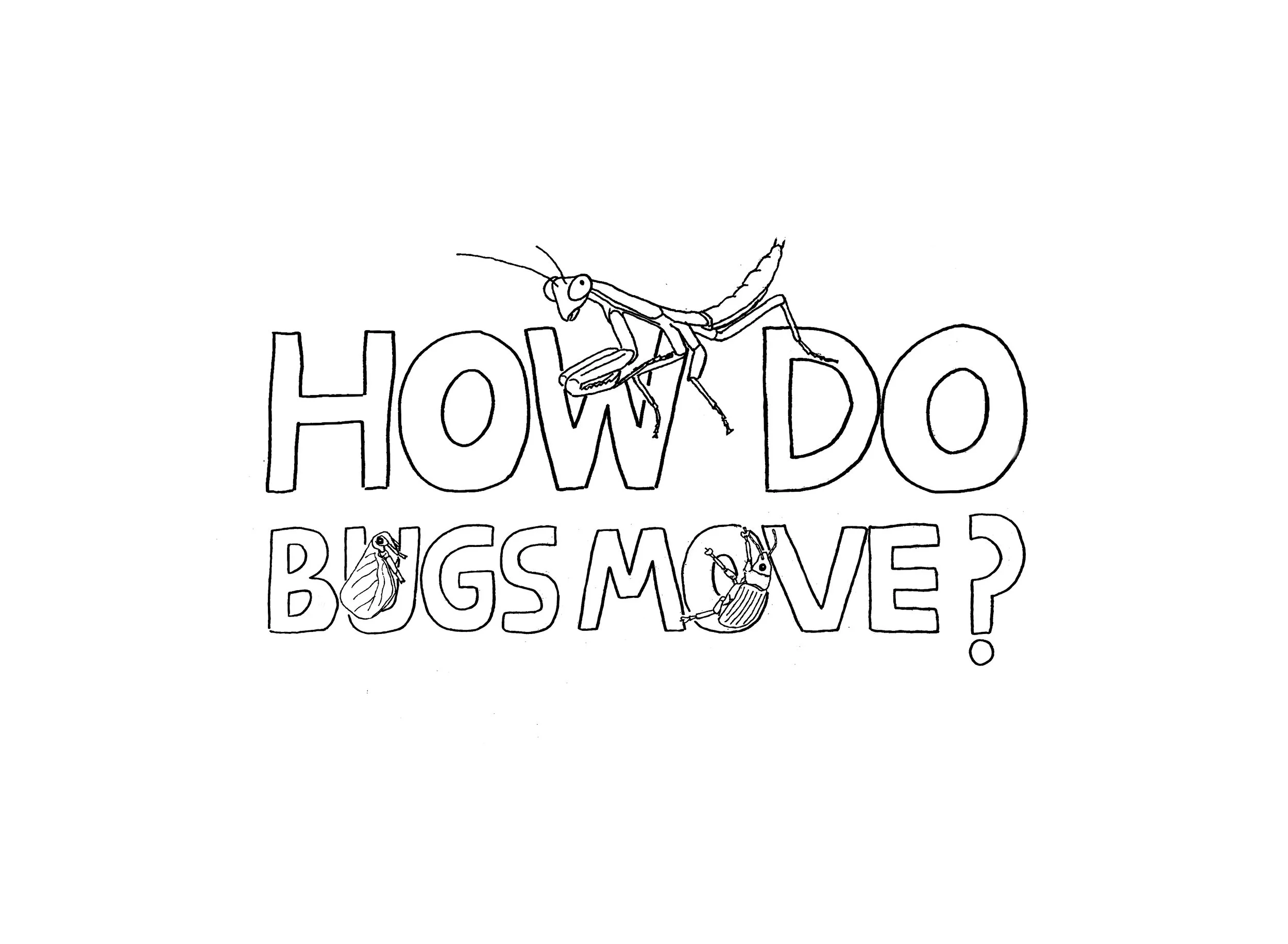 how_do_bugs_move.jpg