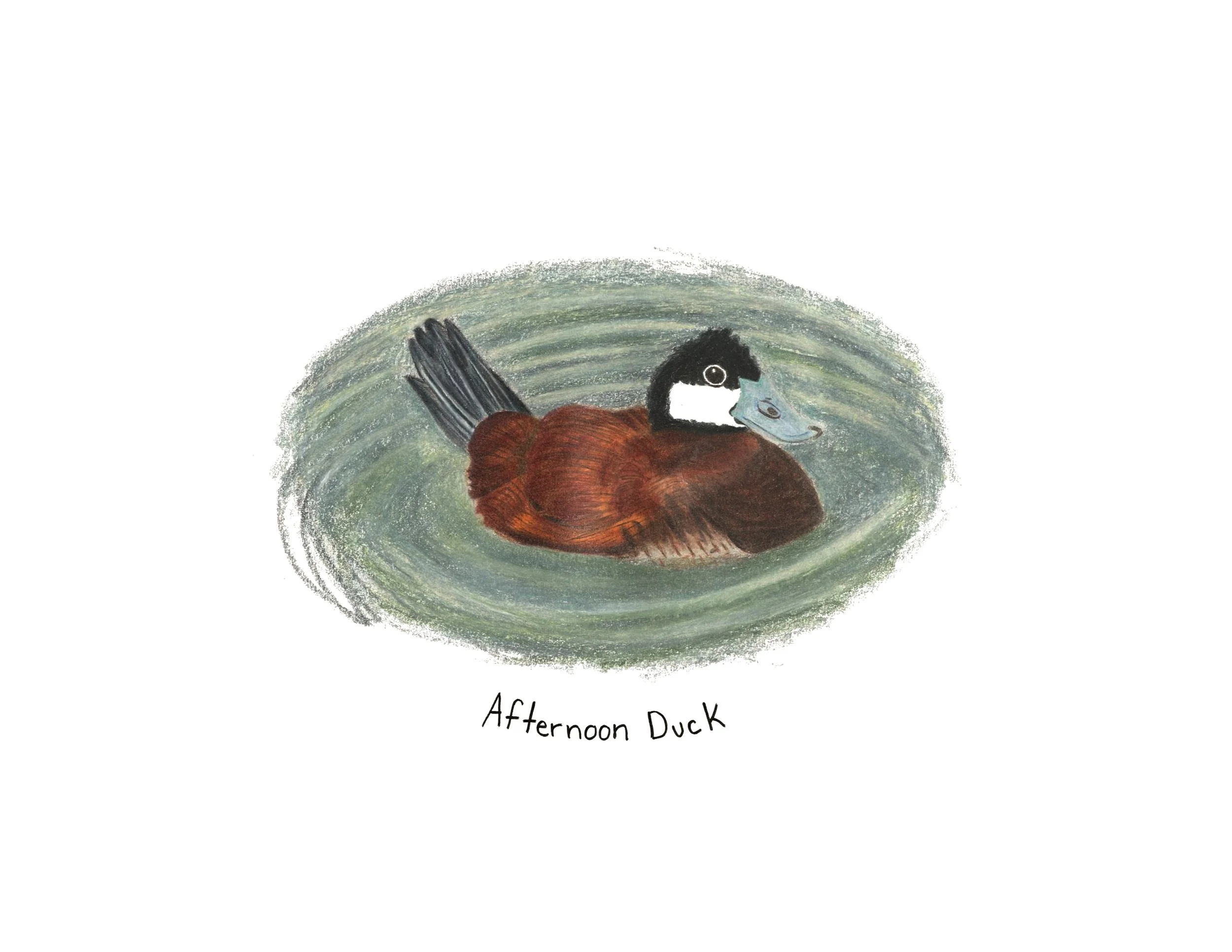 morning bird, night owl, afternoon duck