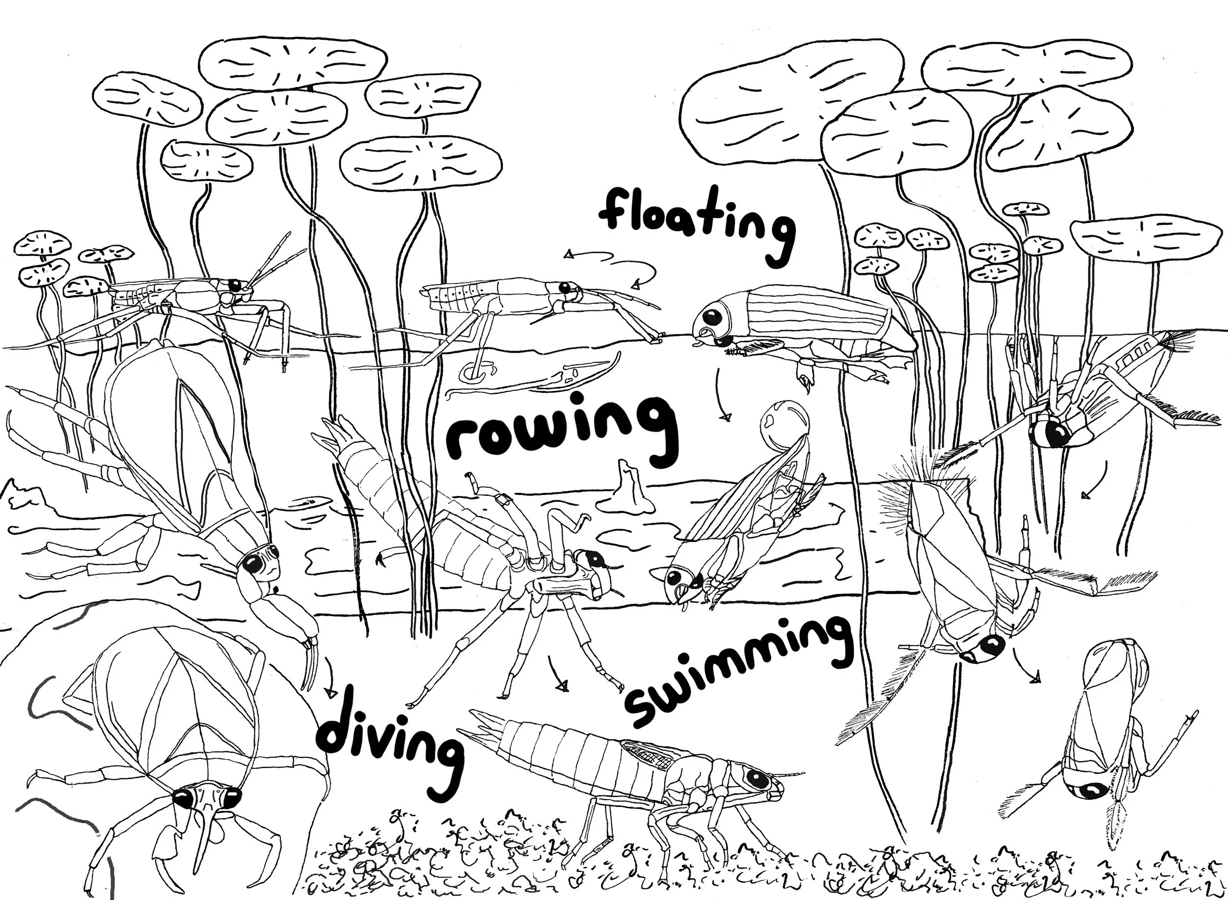swimmers.jpg