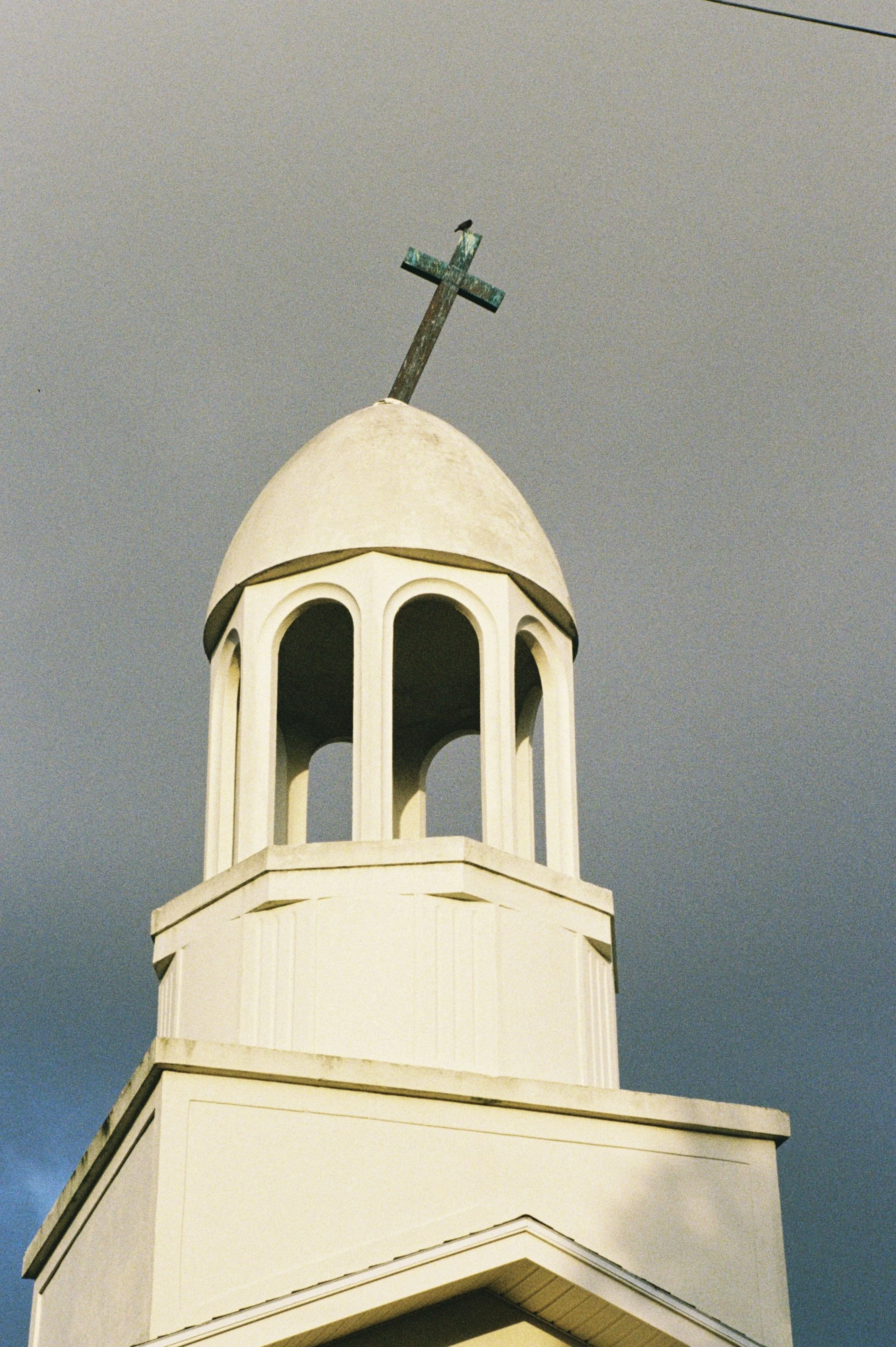 IMG_7495.jpg