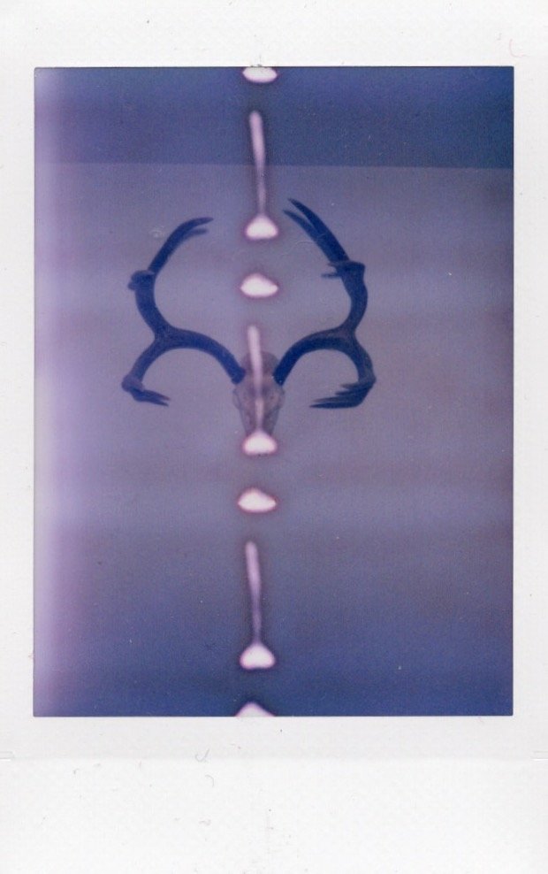 Polaroids_00011.jpg