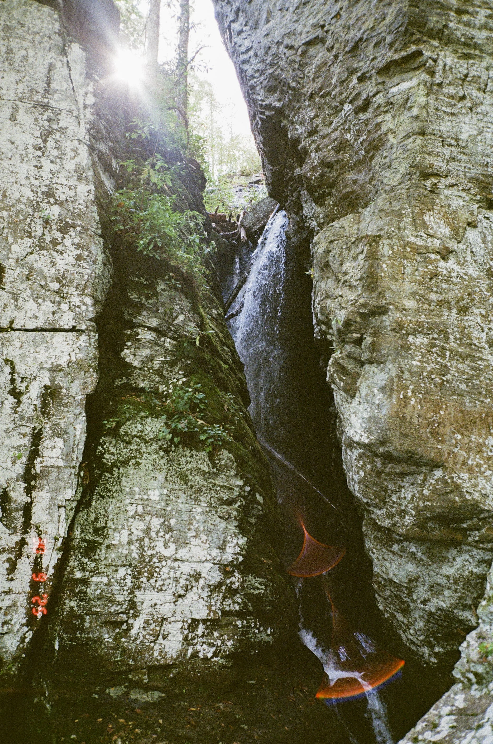 3697-19.jpg