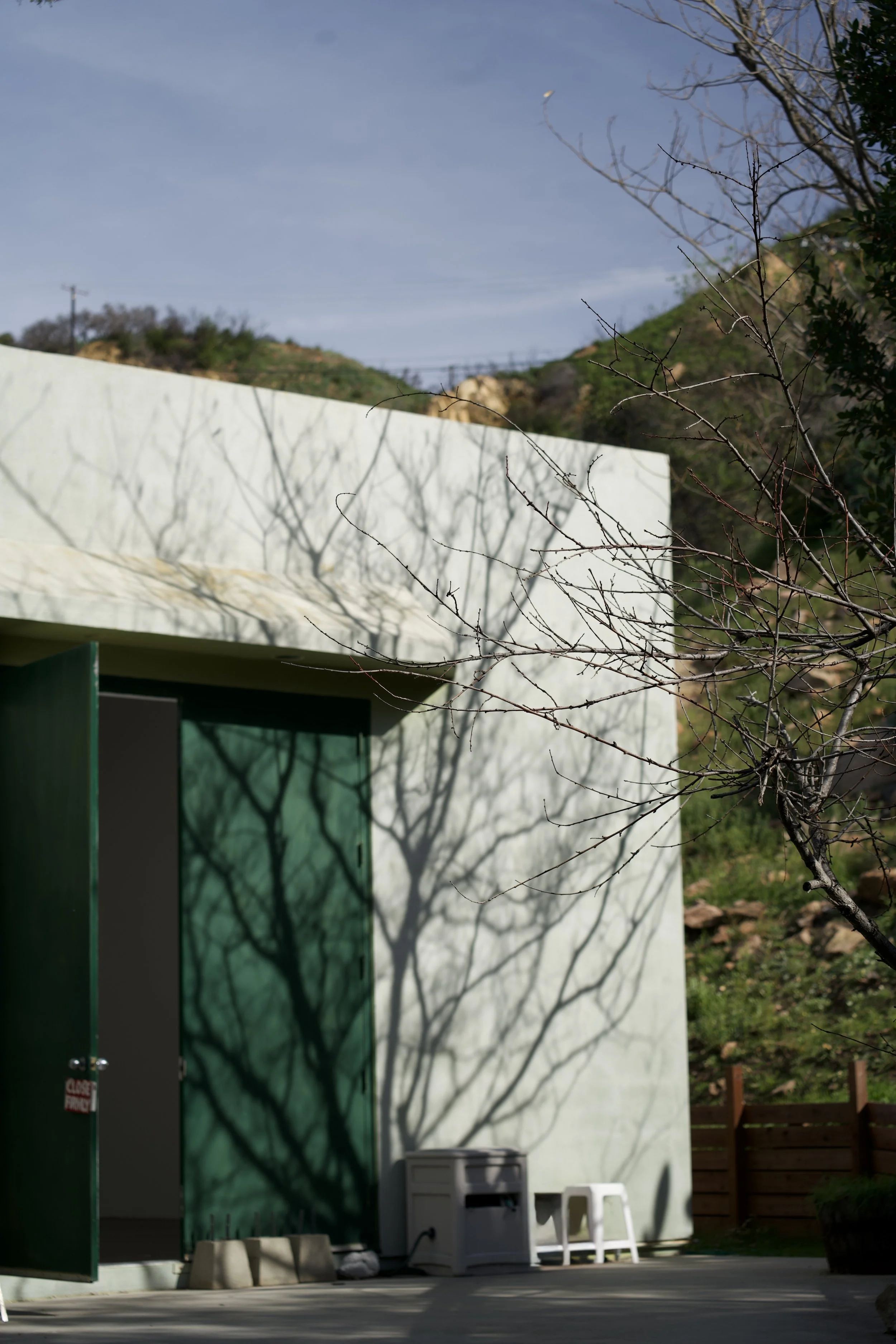 190 loma metisse pic 4.jpeg