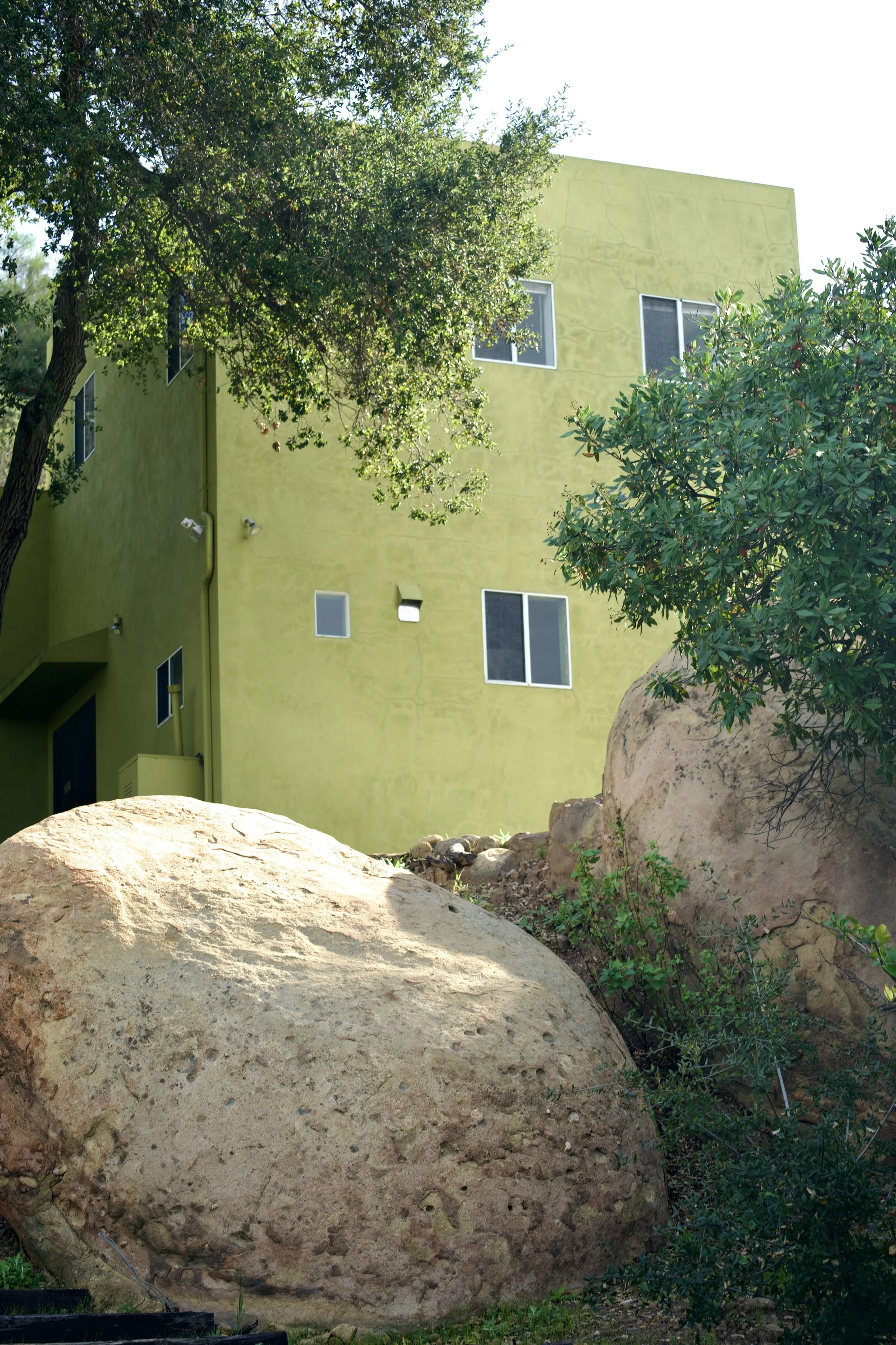 190 loma metisse pic 5.jpeg