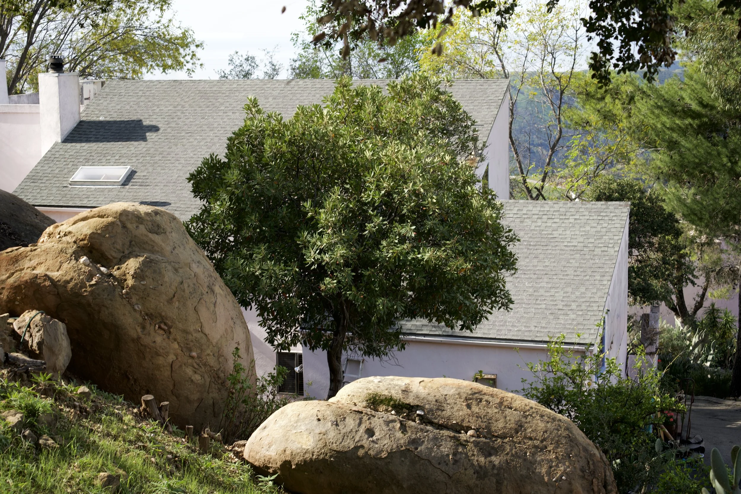 190 loma metisse pic 3.jpeg