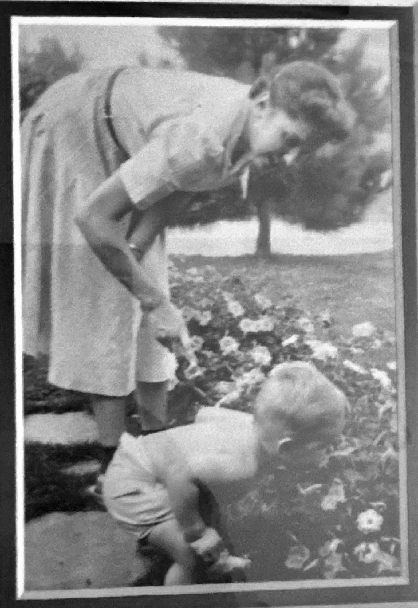 Regis & Sue McKnight - Grandfather and Great-Grandmother of the Bride