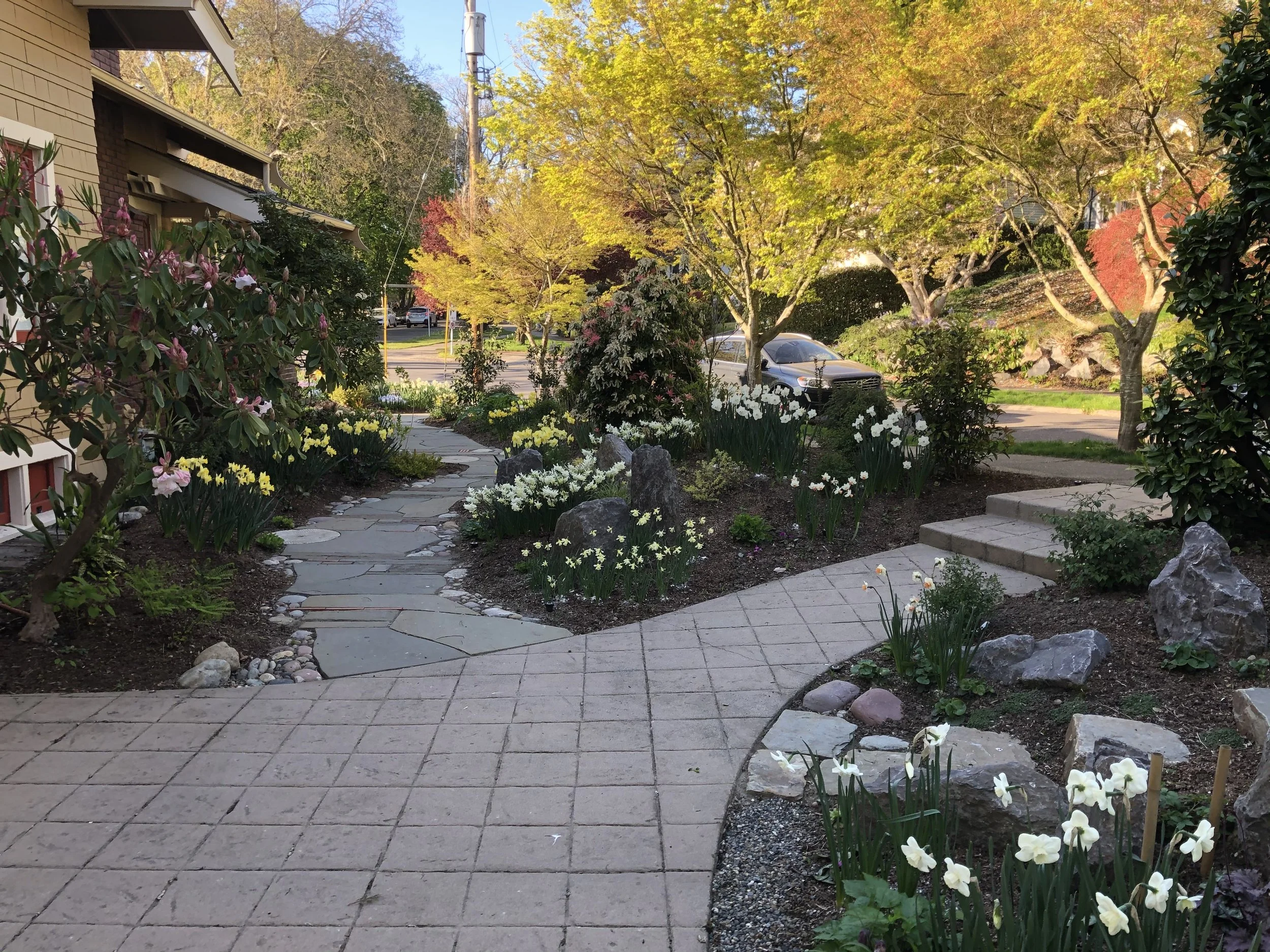 GARDEN(6).jpg