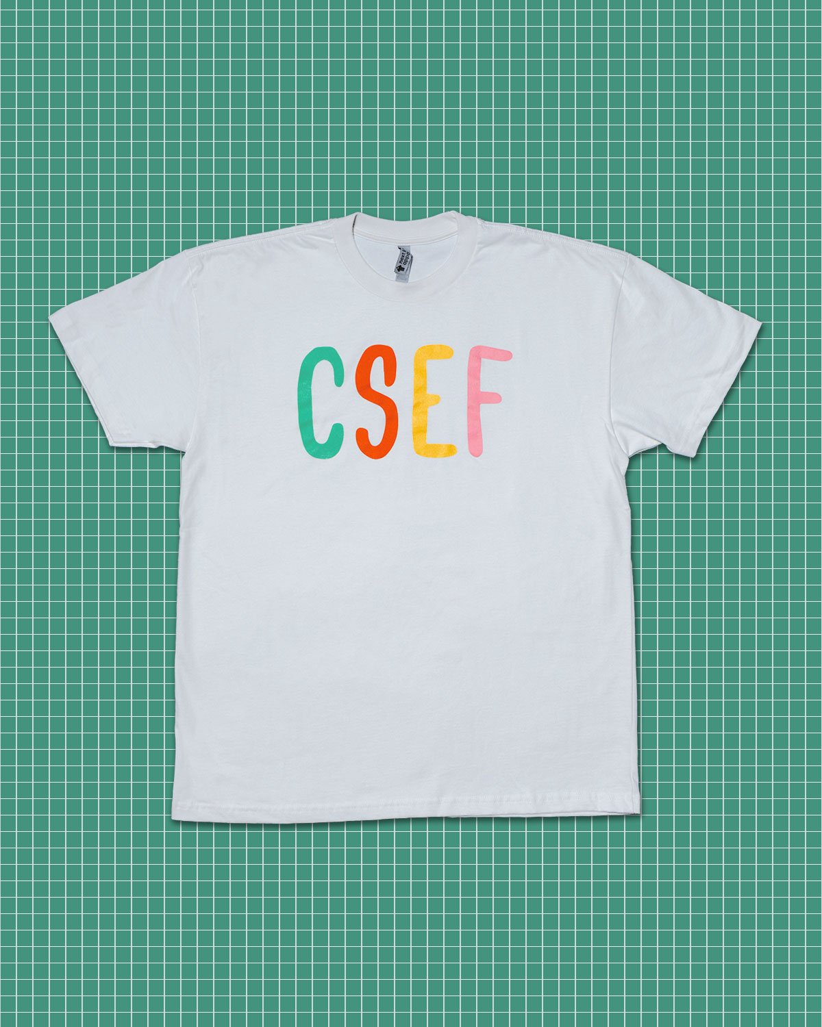 CSEF-SP25-MCLR_BONE-45.jpg