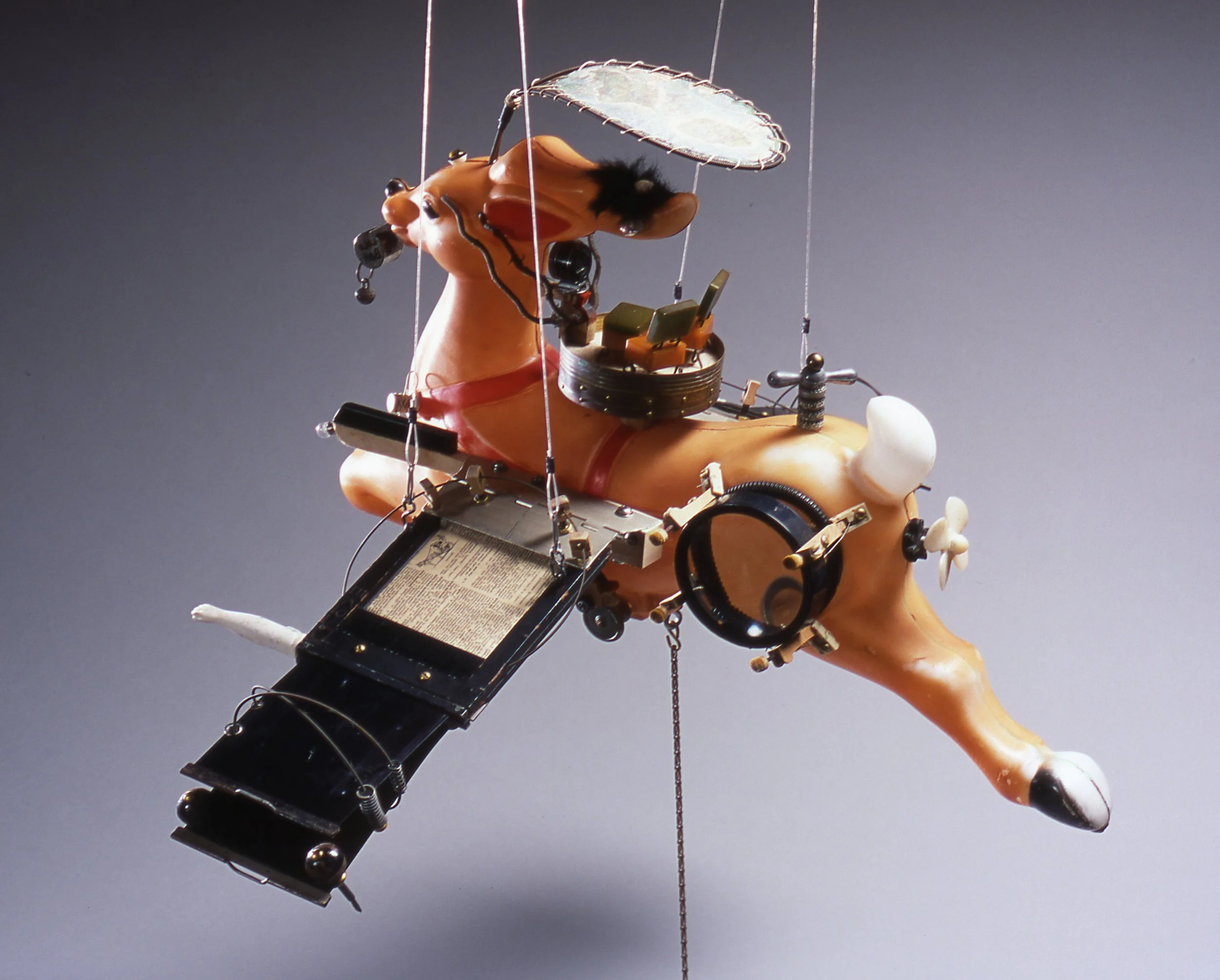 2 lulubell_side .jpg