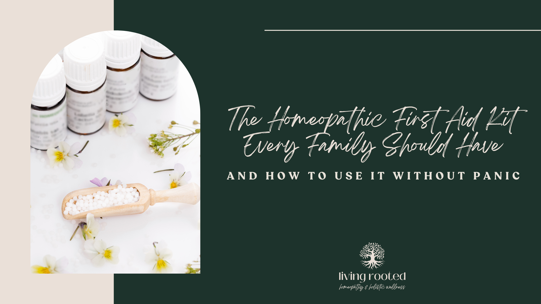 The Homeopathic First Aid Kit Every Family Should Have (And How to Use It Without Panic)