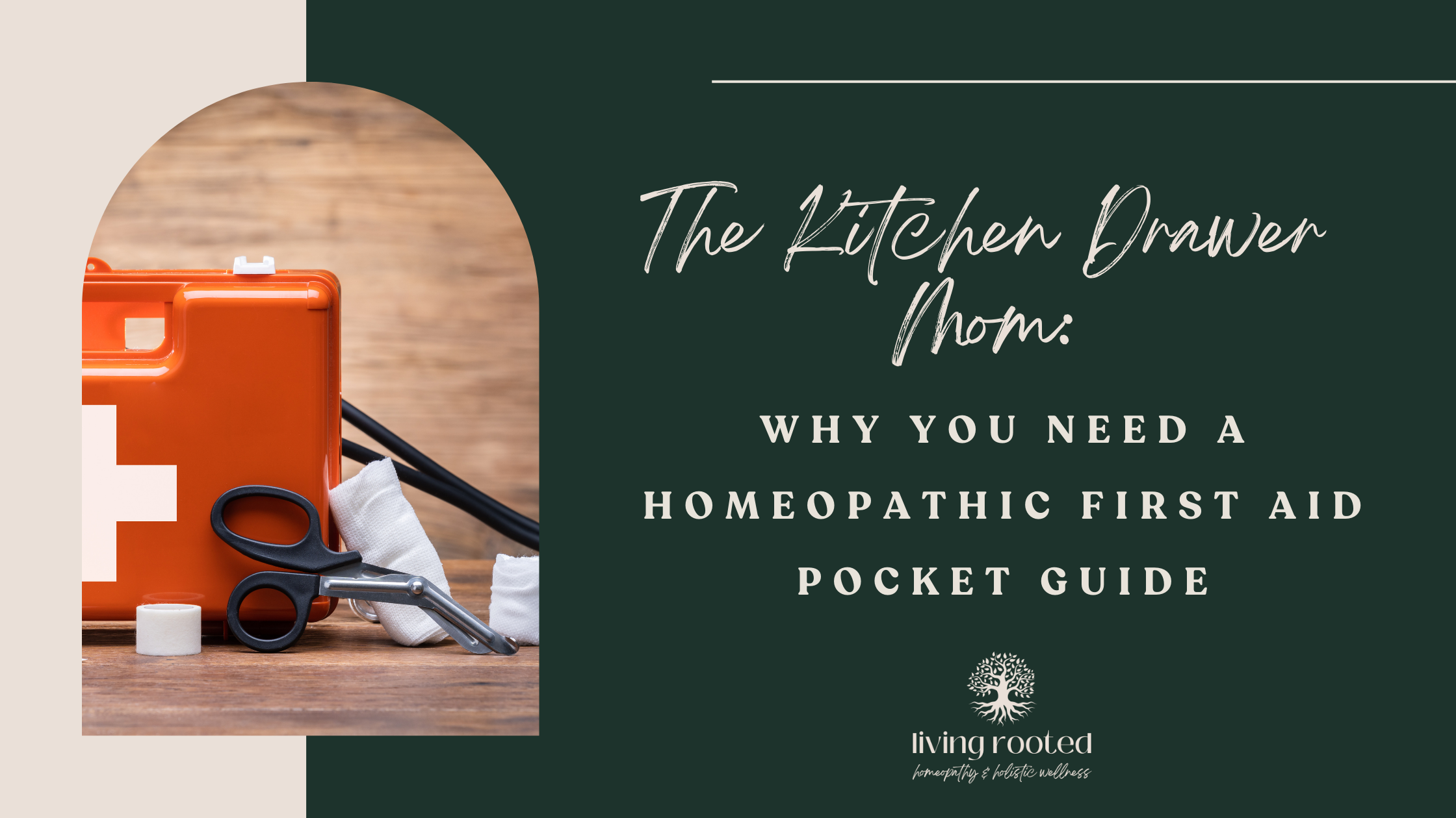 The Kitchen Drawer Mom: Why You Need a Homeopathic First Aid Pocket Guide