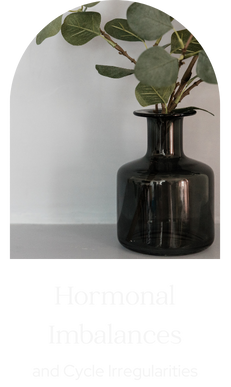 pic hormonal .png