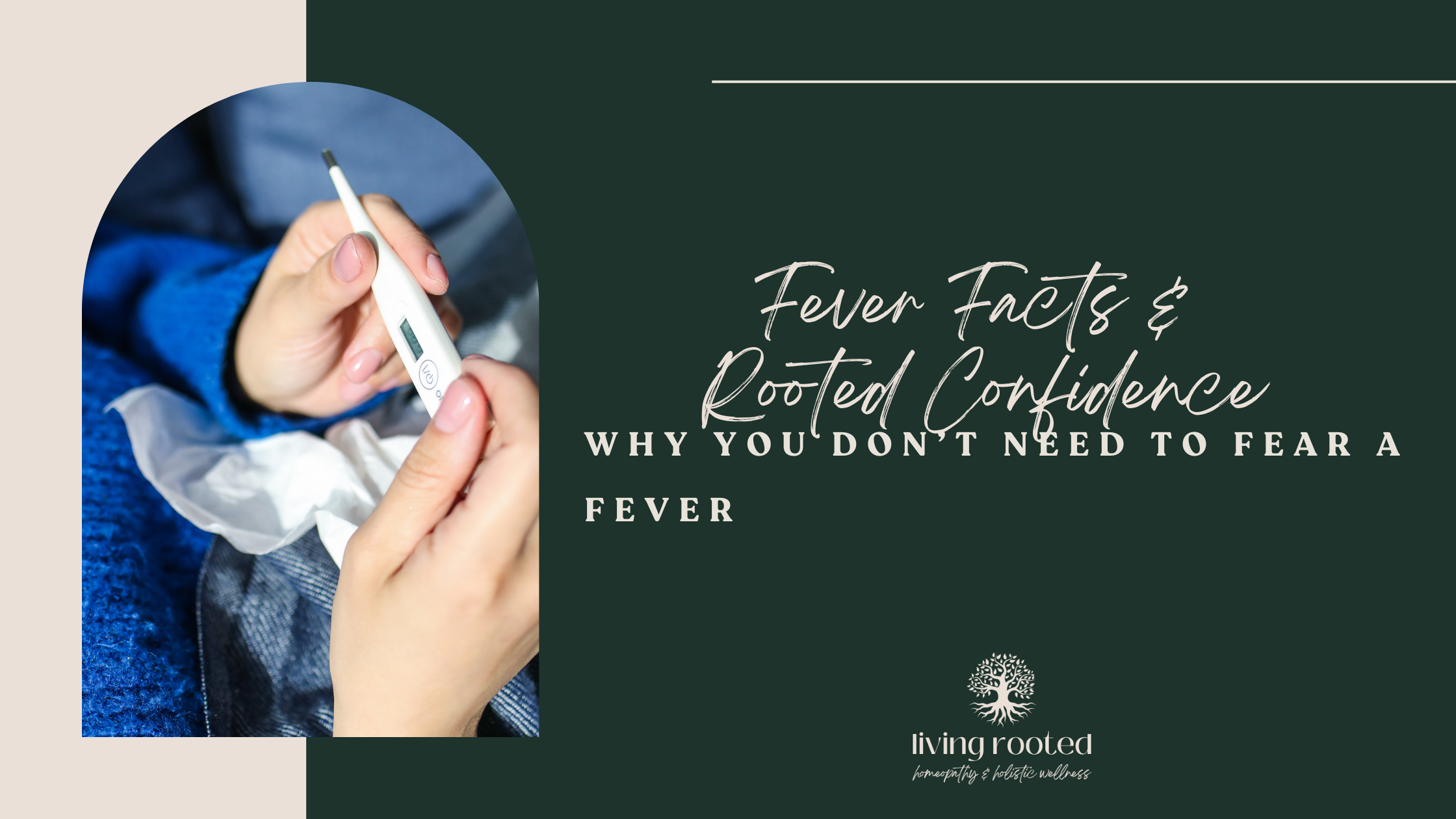 Fever Facts & Rooted Confidence