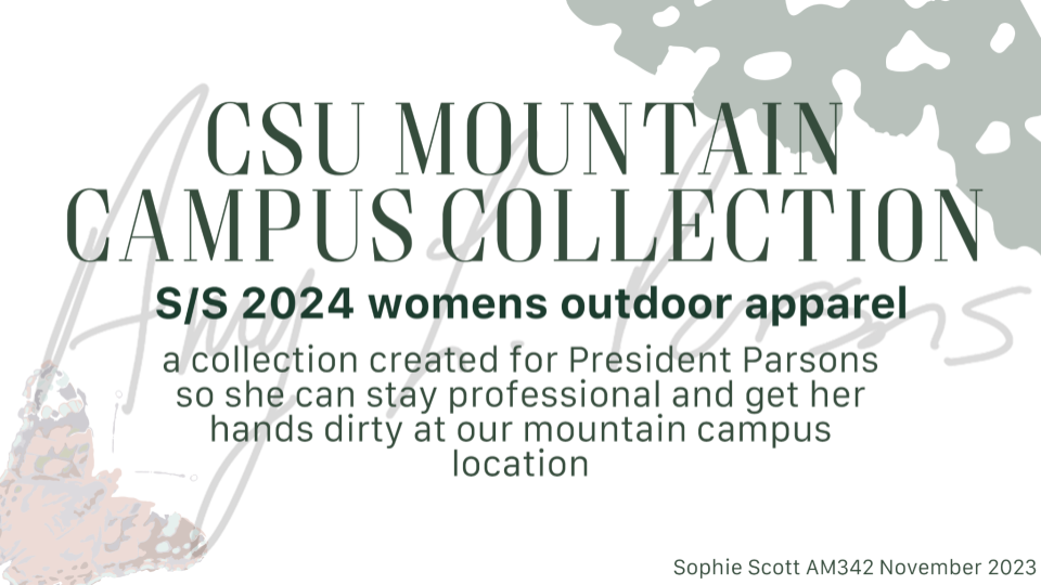 AM342 Amy Parsons Project.png