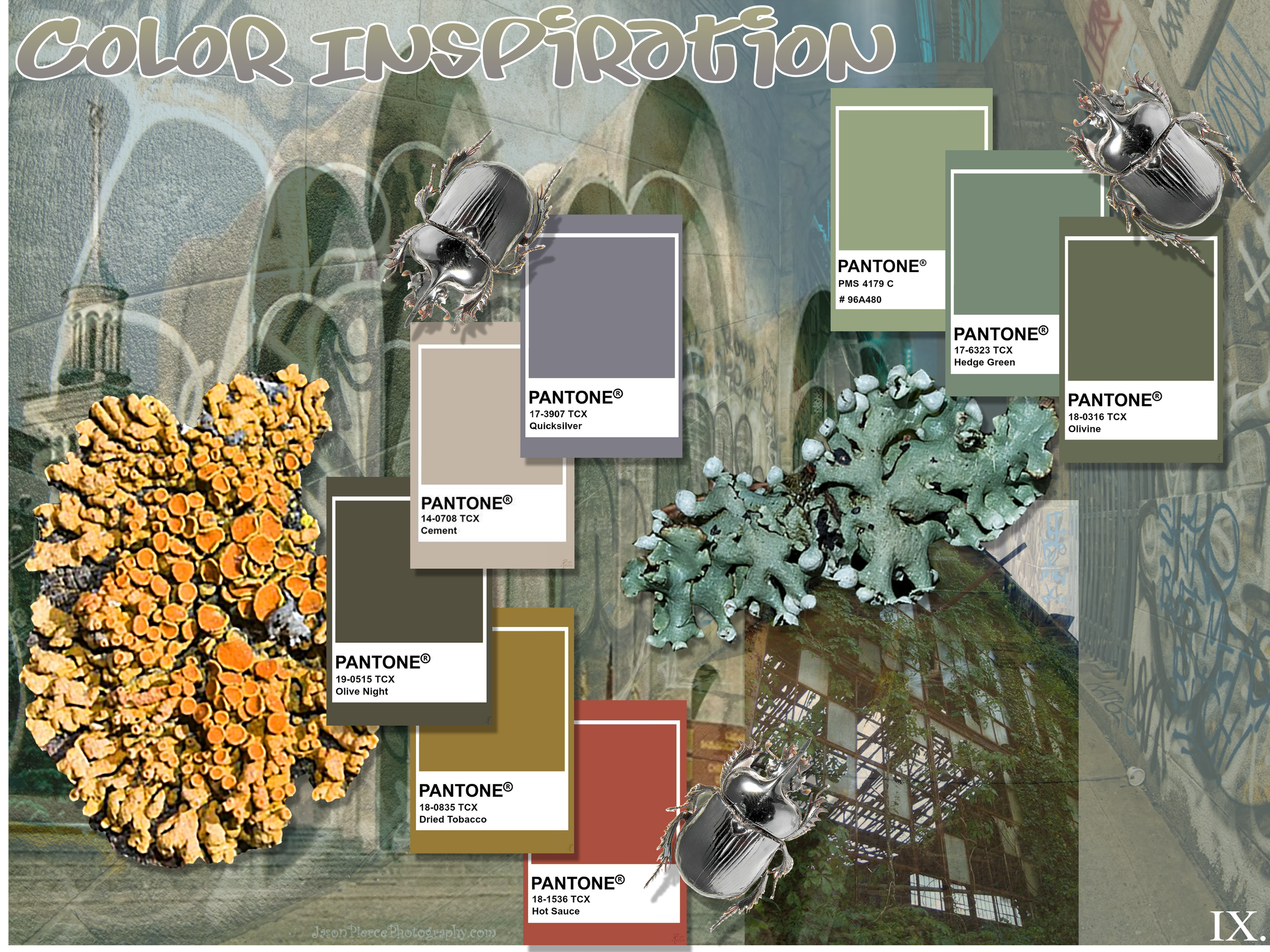 FSF Color Inspiration.png