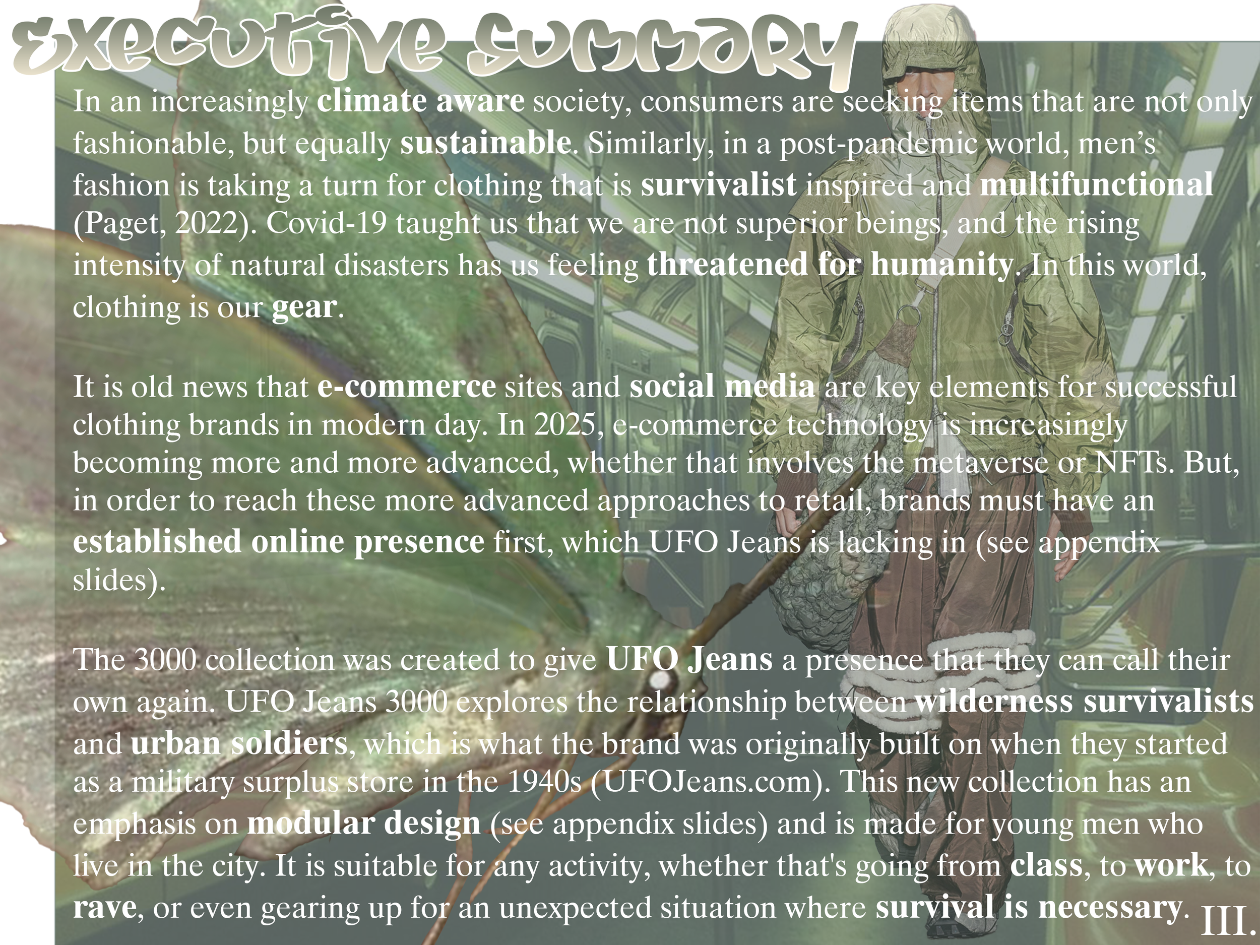 FSF Executive Summary (1).png