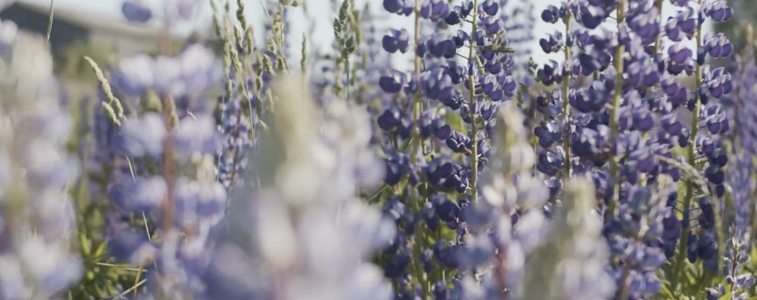 Screenshot 2025-02-27 at 11.23.12 PM.png