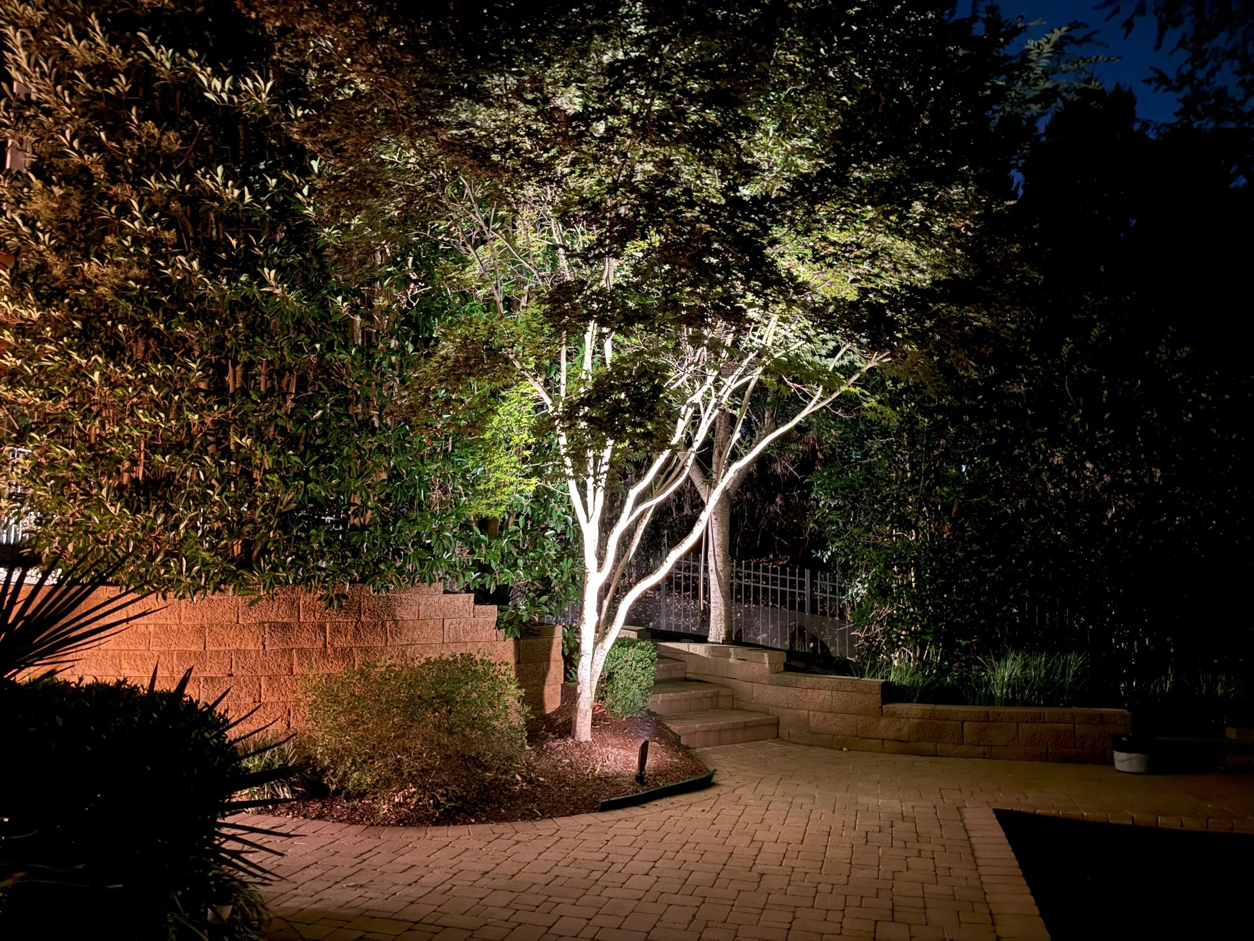 landscape lighting trees.jpg
