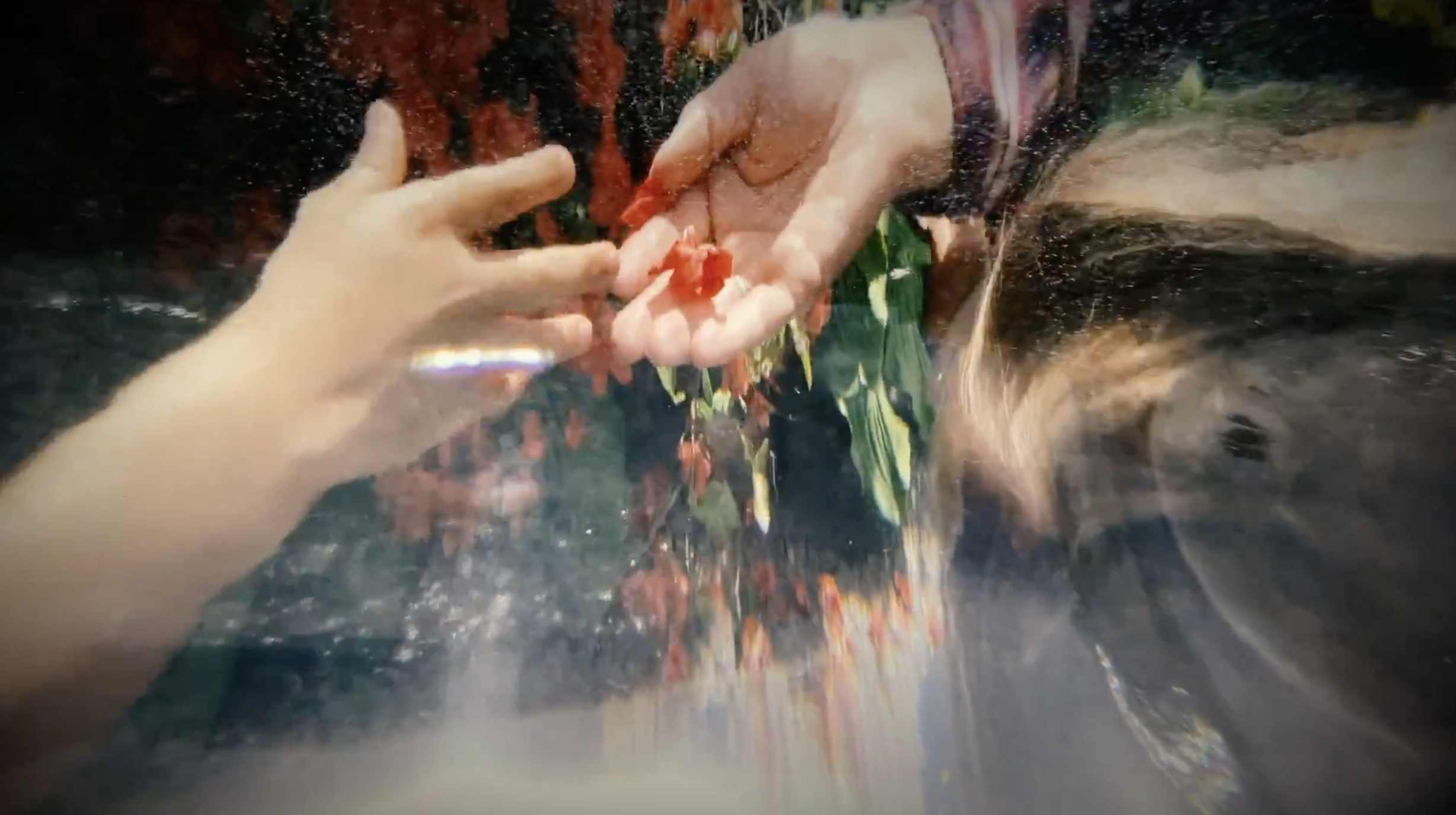 "Fading" - Our Band - Director / Camera / Editor