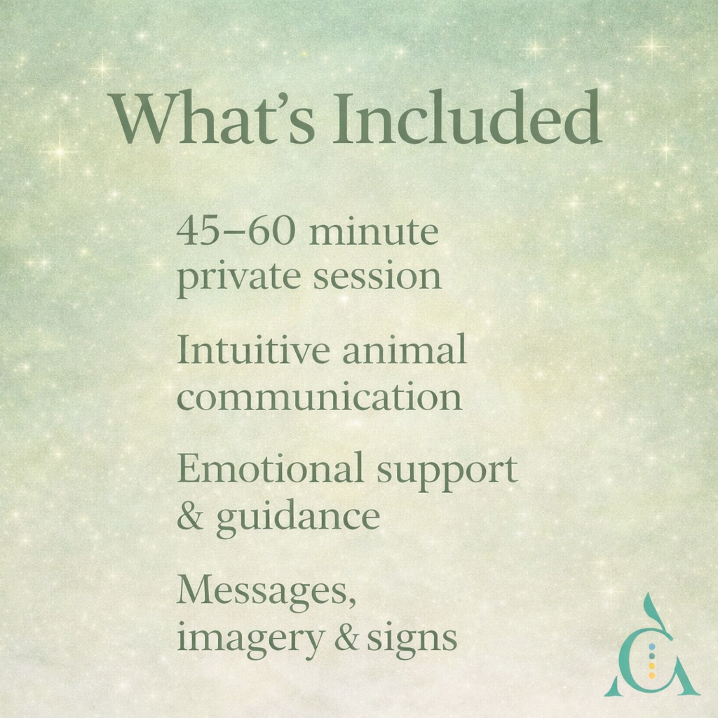 ChatGPT Image Feb 16, 2026 at 09_18_00 AM.png