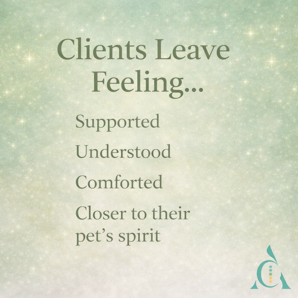 ChatGPT Image Feb 16, 2026 at 09_22_33 AM.png