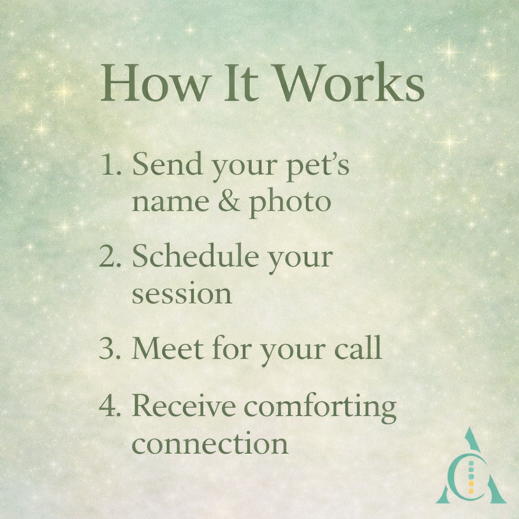 ChatGPT Image Feb 16, 2026 at 09_20_31 AM.png