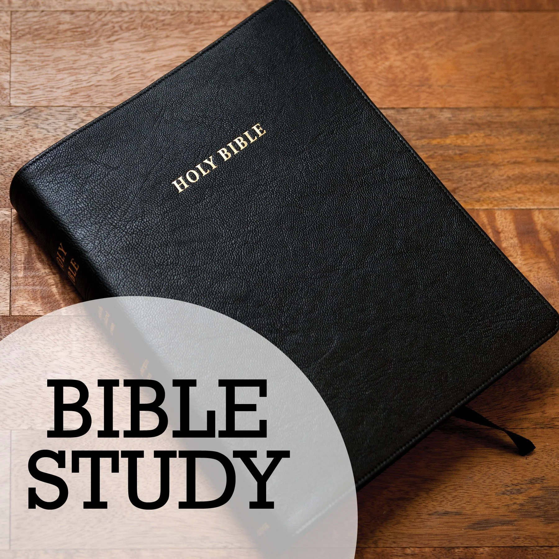 Bible Study