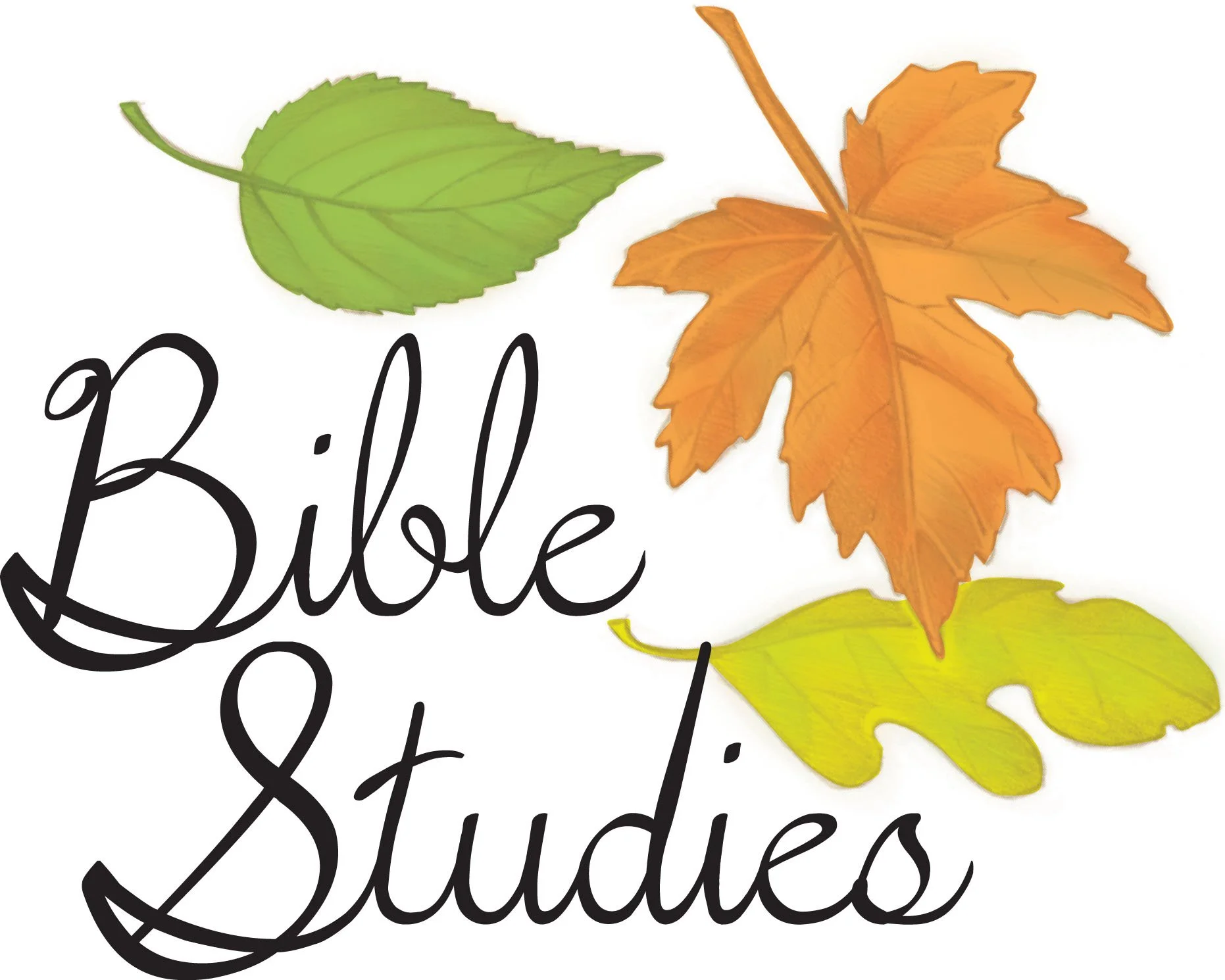 Bible Study 9-7-2026