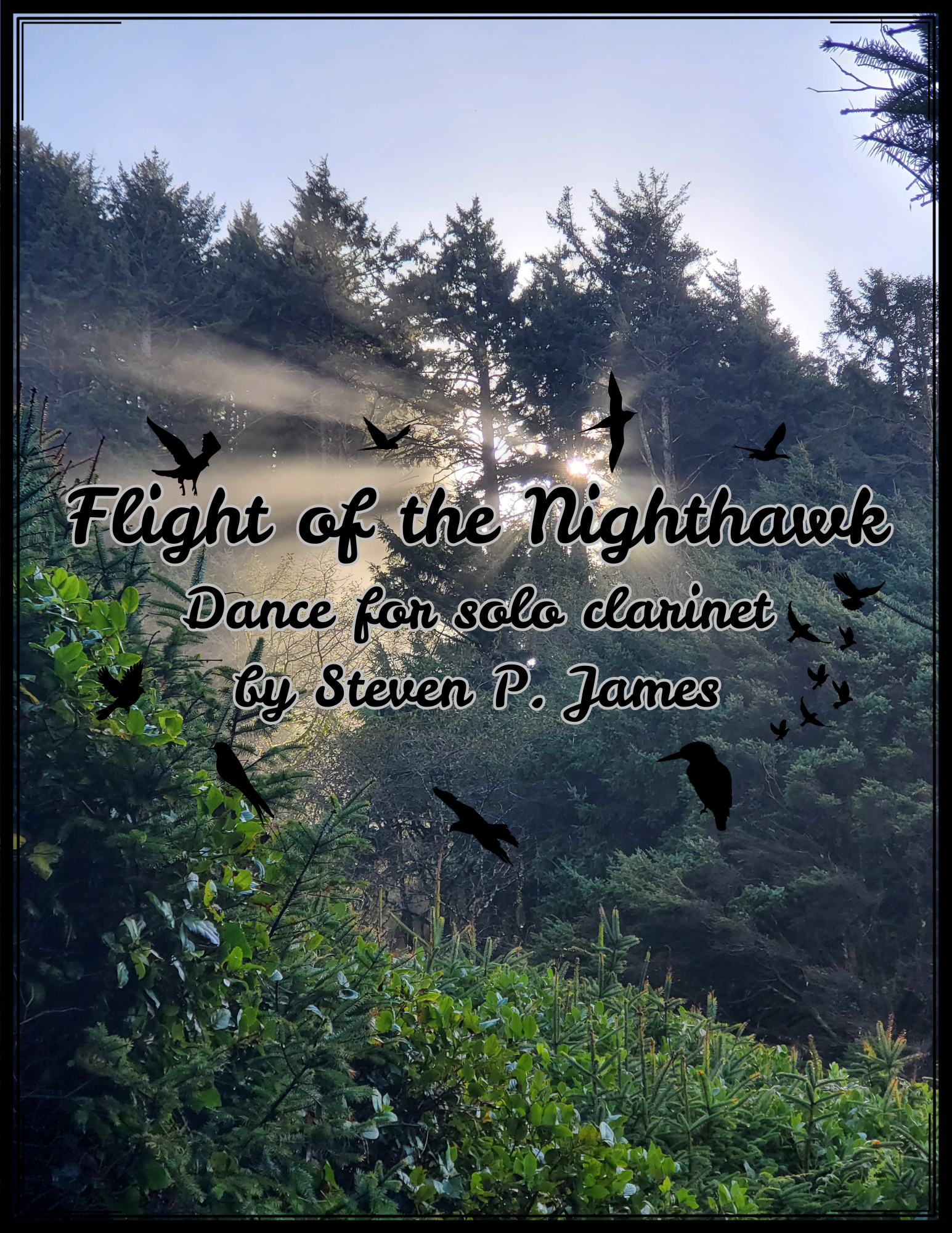 Flight of the Nighthawk for Clarinet Solo