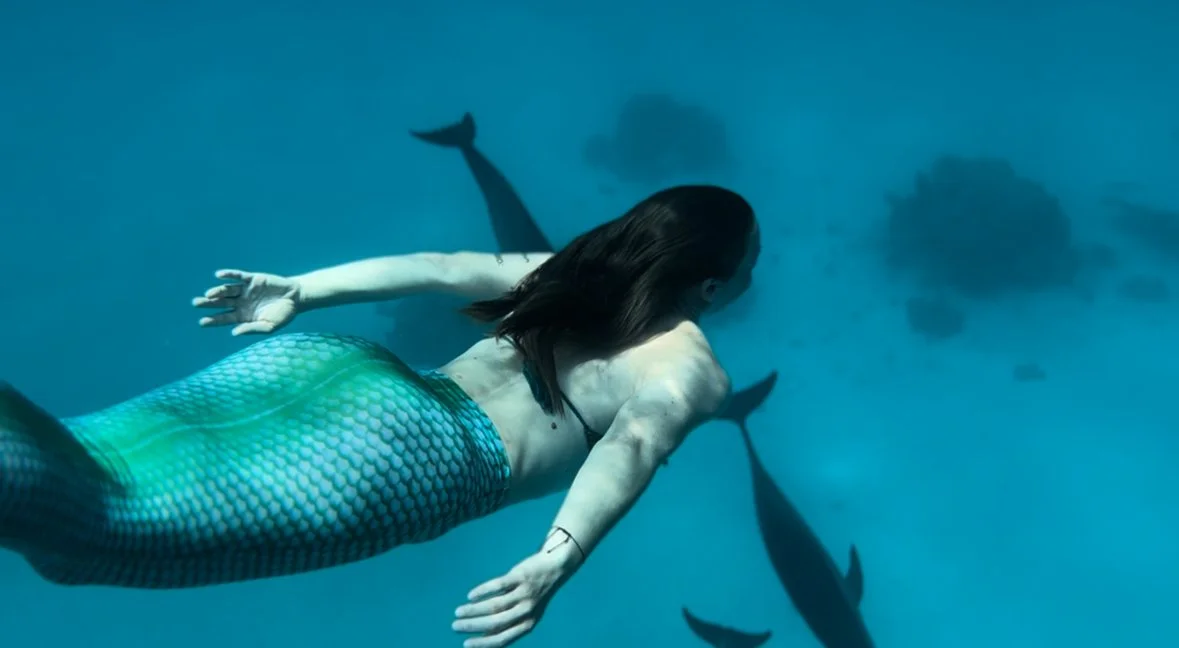 ViolaFelizitasDelfinreisen22.jpg