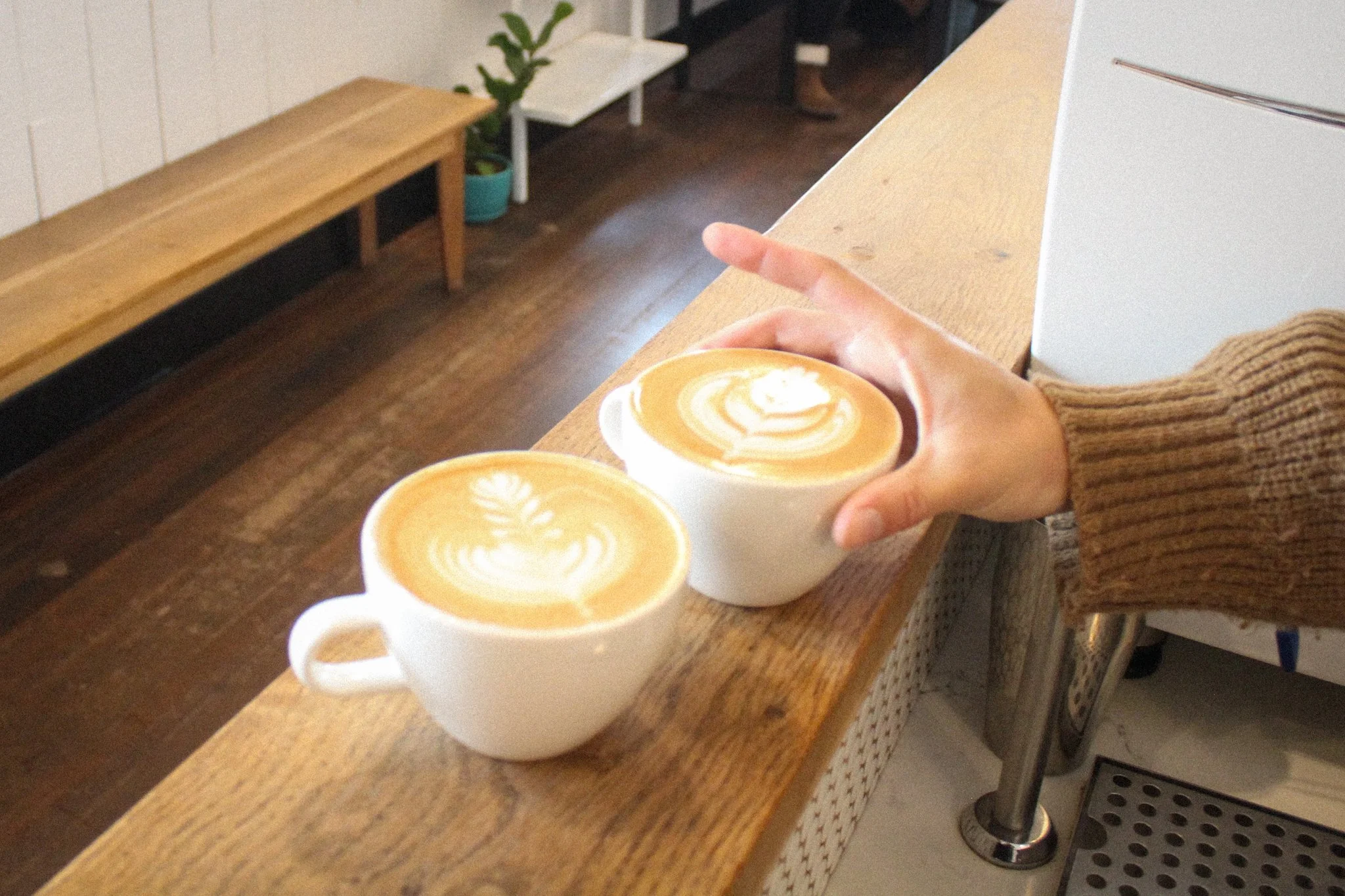 Two Lattes.jpg