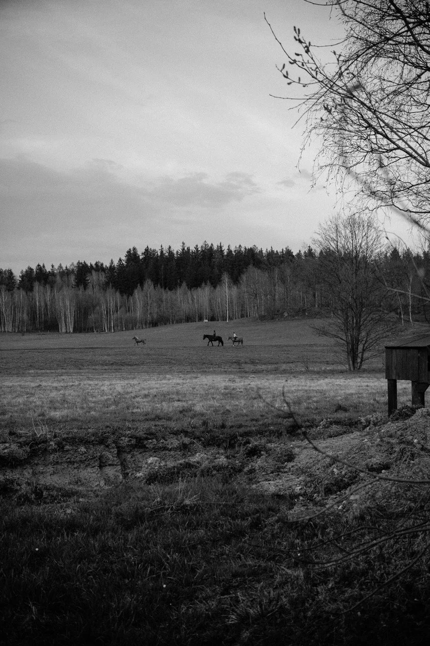 Groß (IG-1-48).jpeg