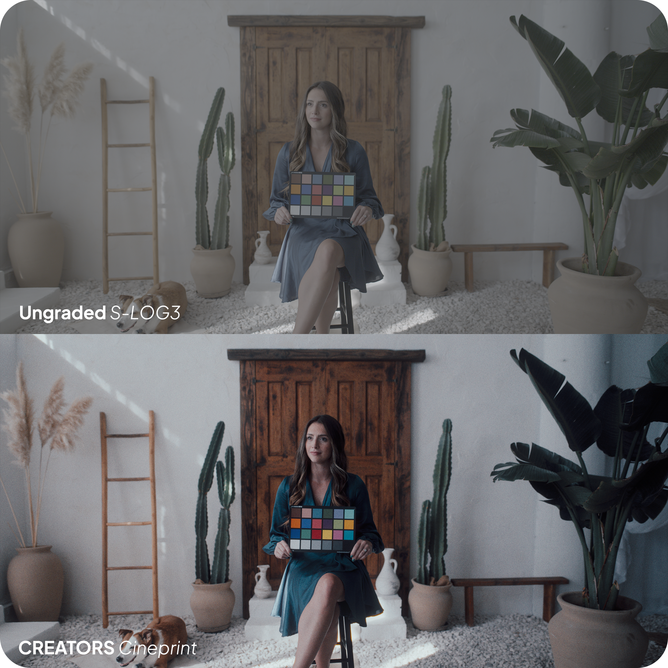 Still 2025-07-16 131228_1.1.1.png