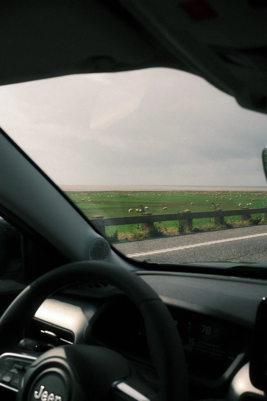 Groß (DK-1-73).jpeg