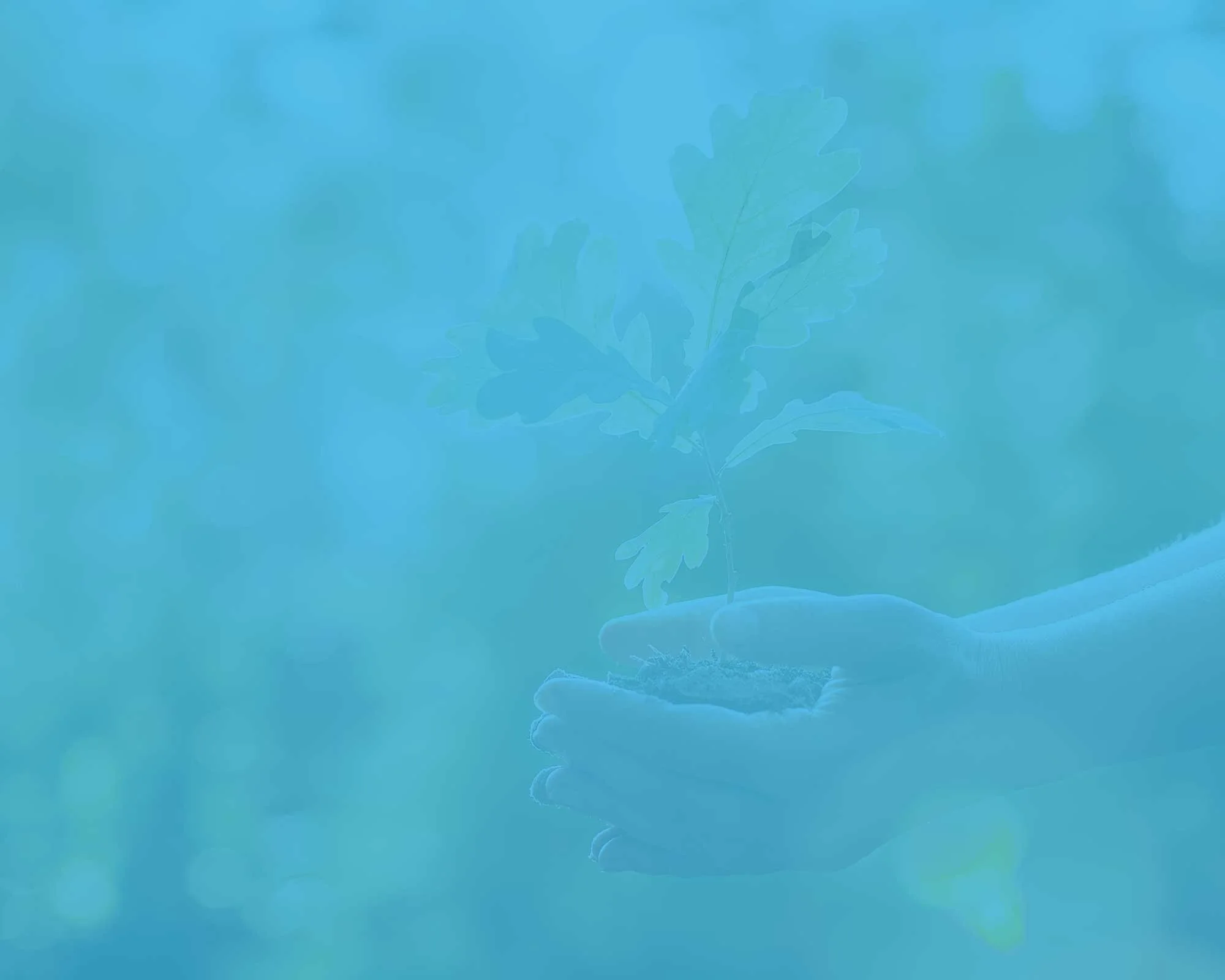 Planned Giving