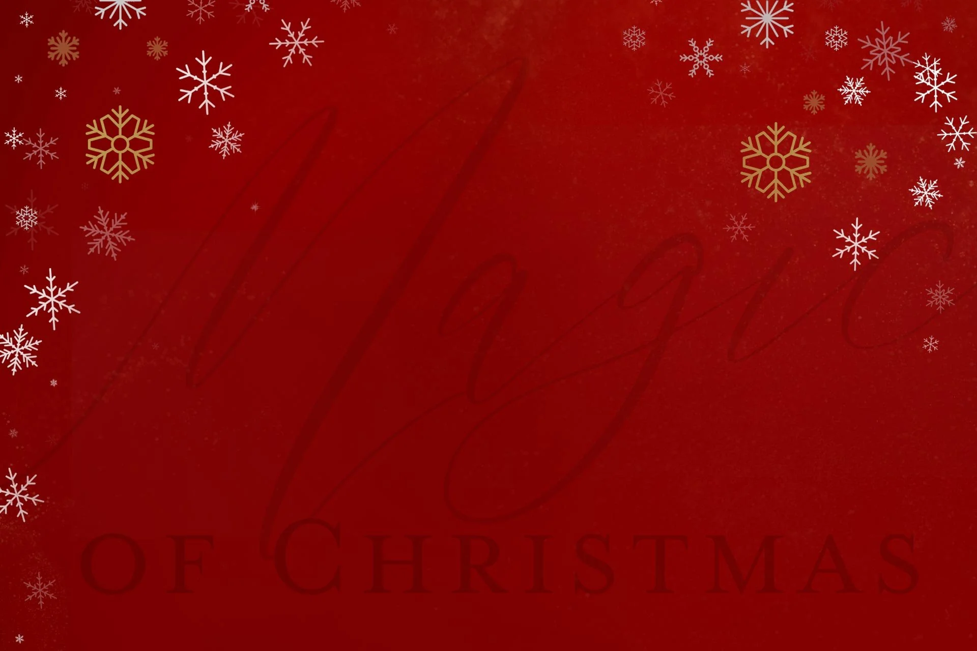 Magic of Christmas on December 6, 2025